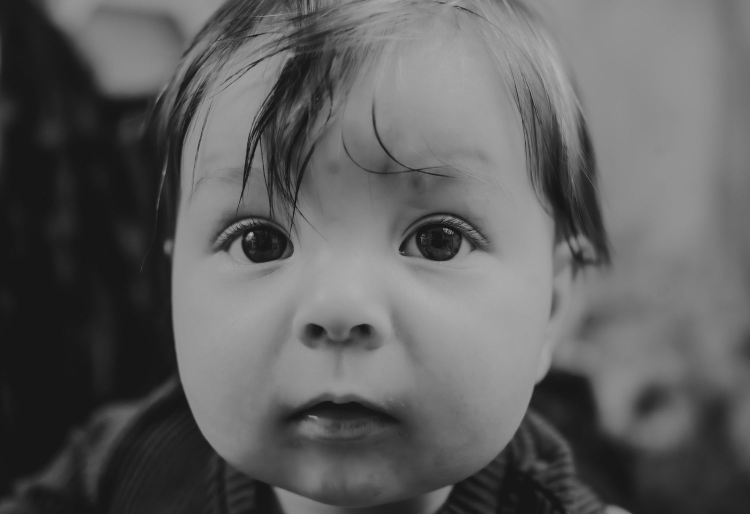Estes - 6 Months
