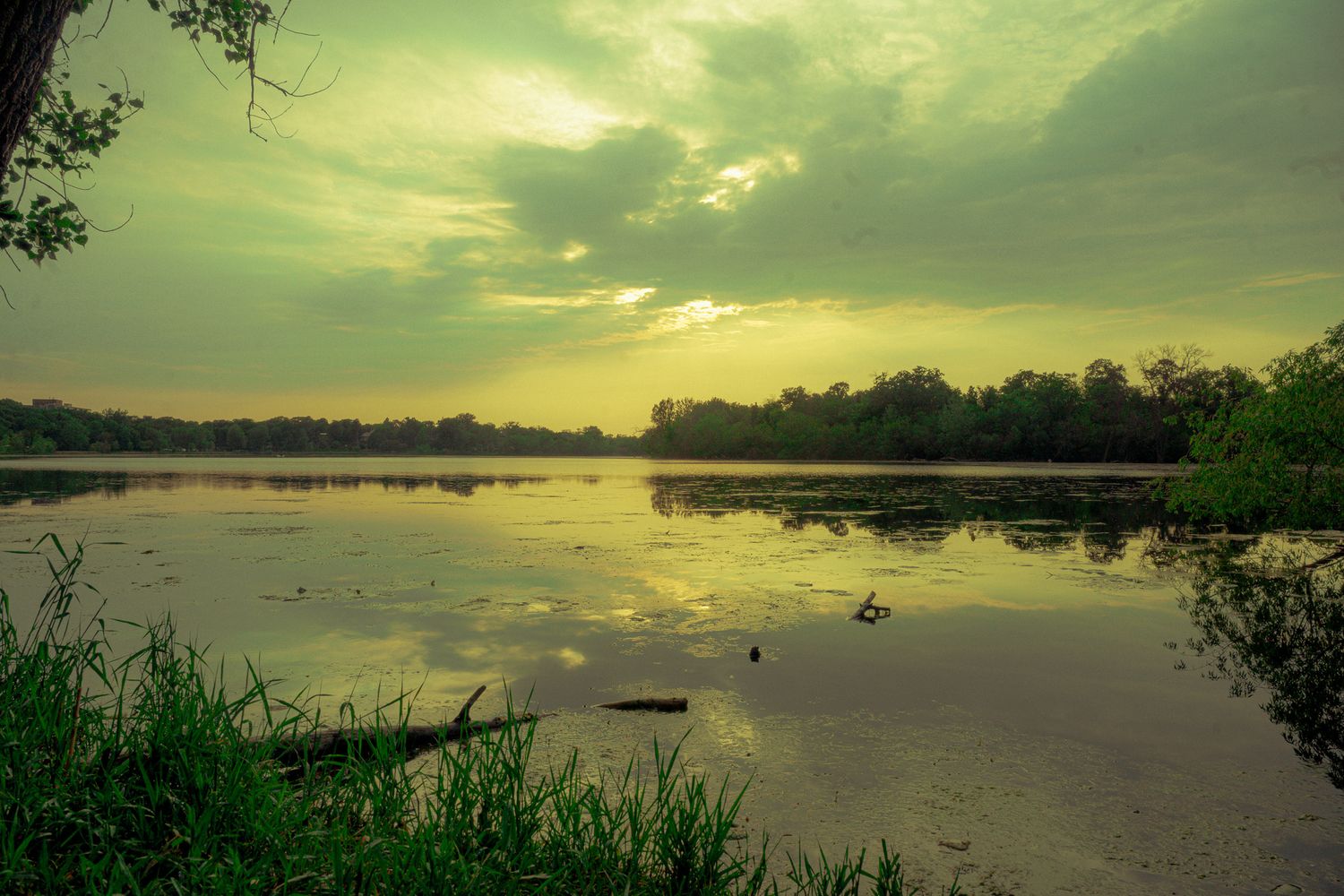 Lake of the Isles - Minneapolis, MN