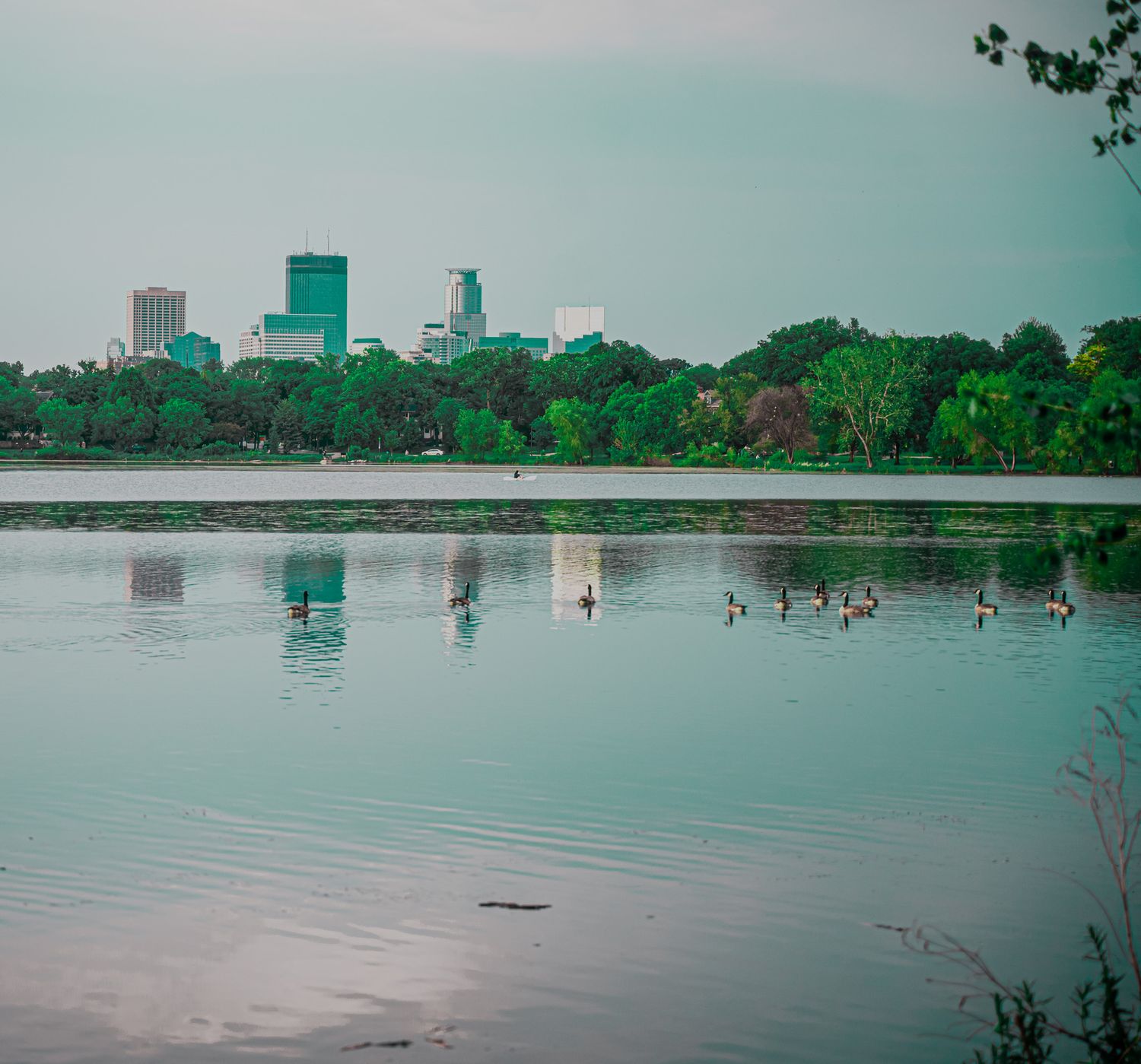 Lake of the Isles - Minneapolis, MN