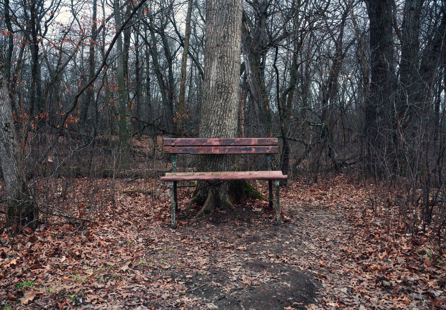 Nature Center - Faribault, MN