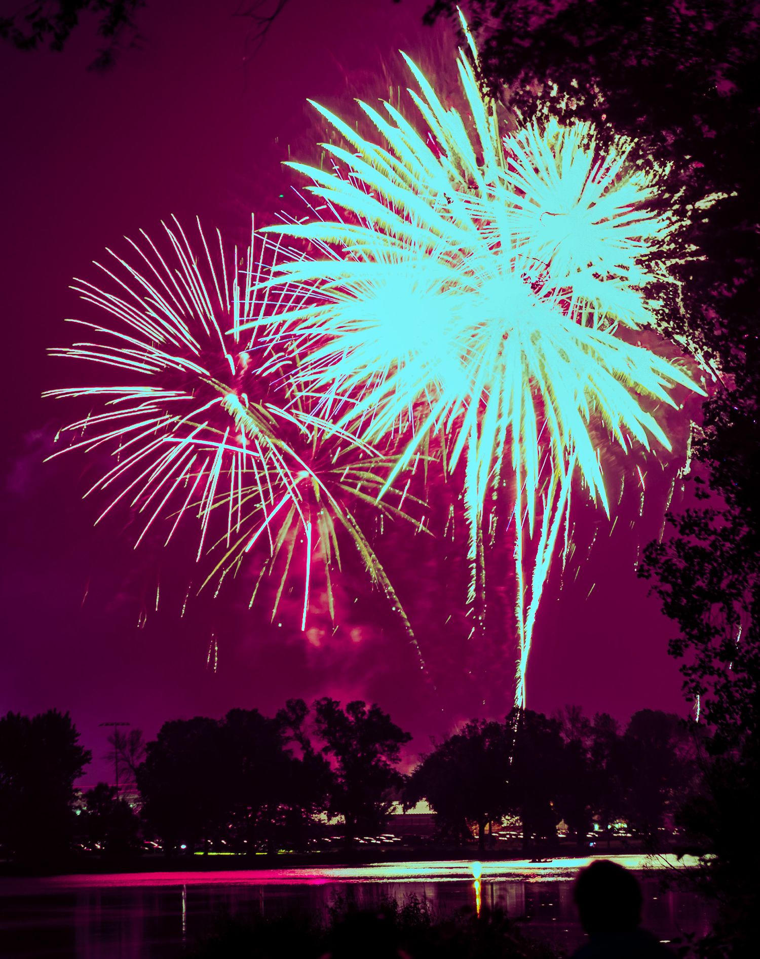4th of July Fireworks - Faribault, MN