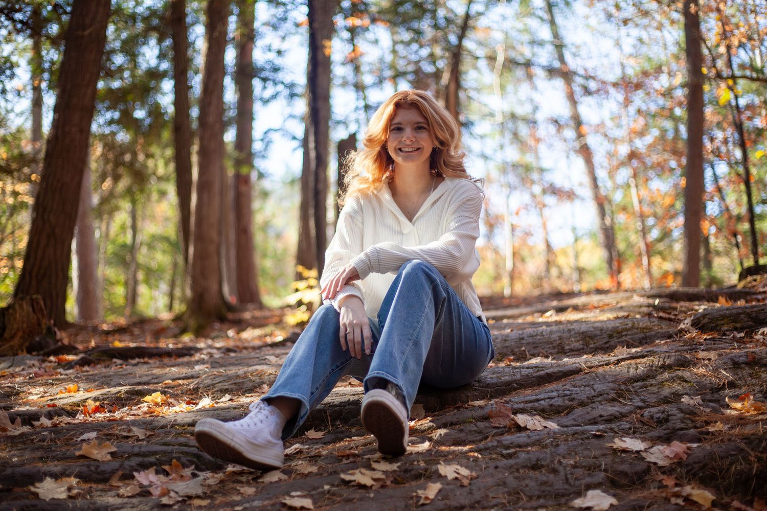 Forest floor setting with fallen autumn leaves and natural sunlight filtering through trees.