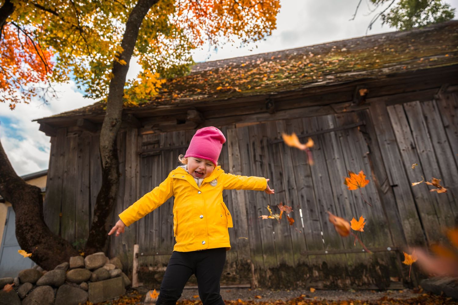 Autumn leaves fall around a person wearing a bright yellow jacket near an old wooden barn.