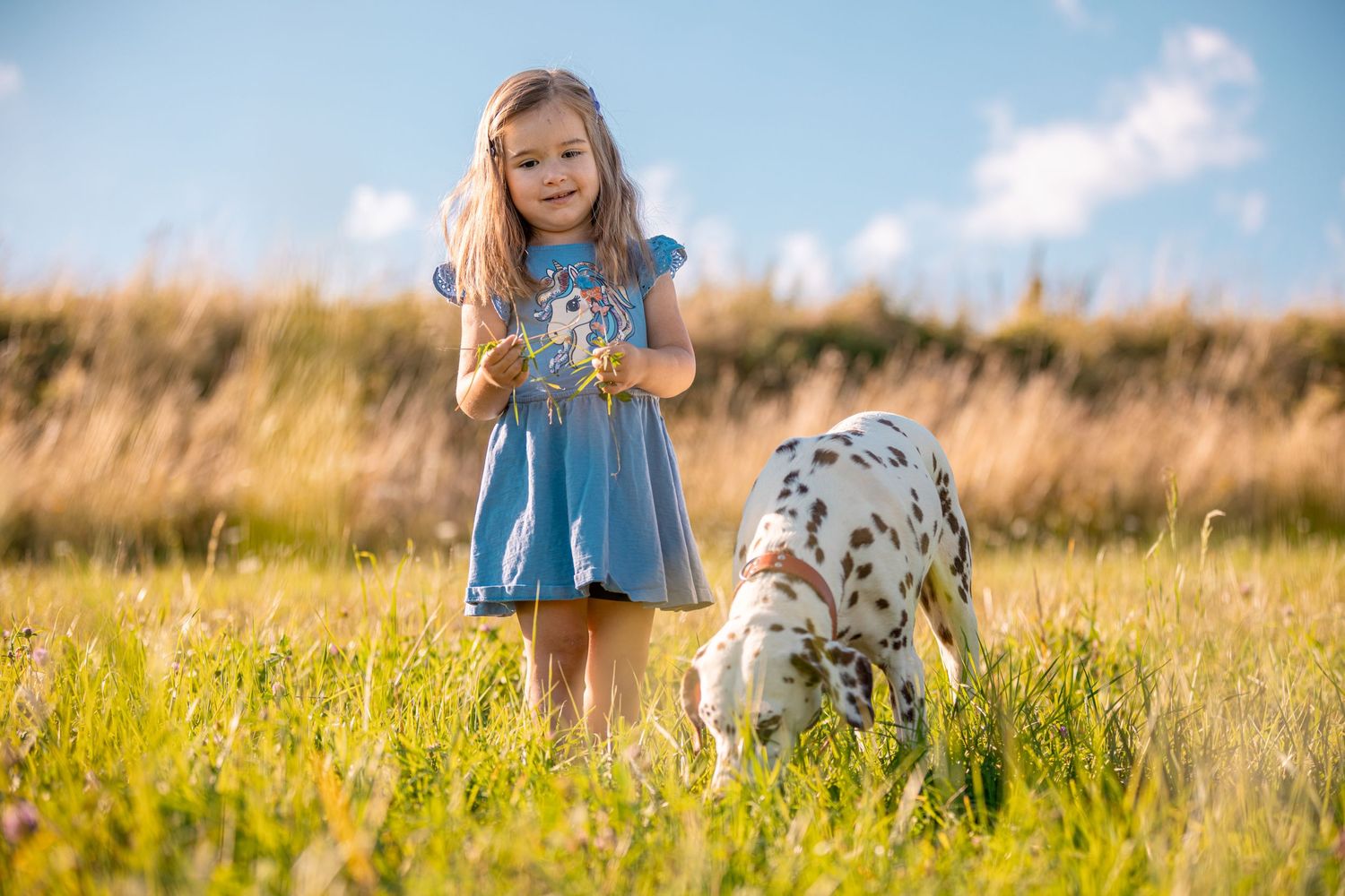 Children in blue dresses play in a golden meadow during sunset.