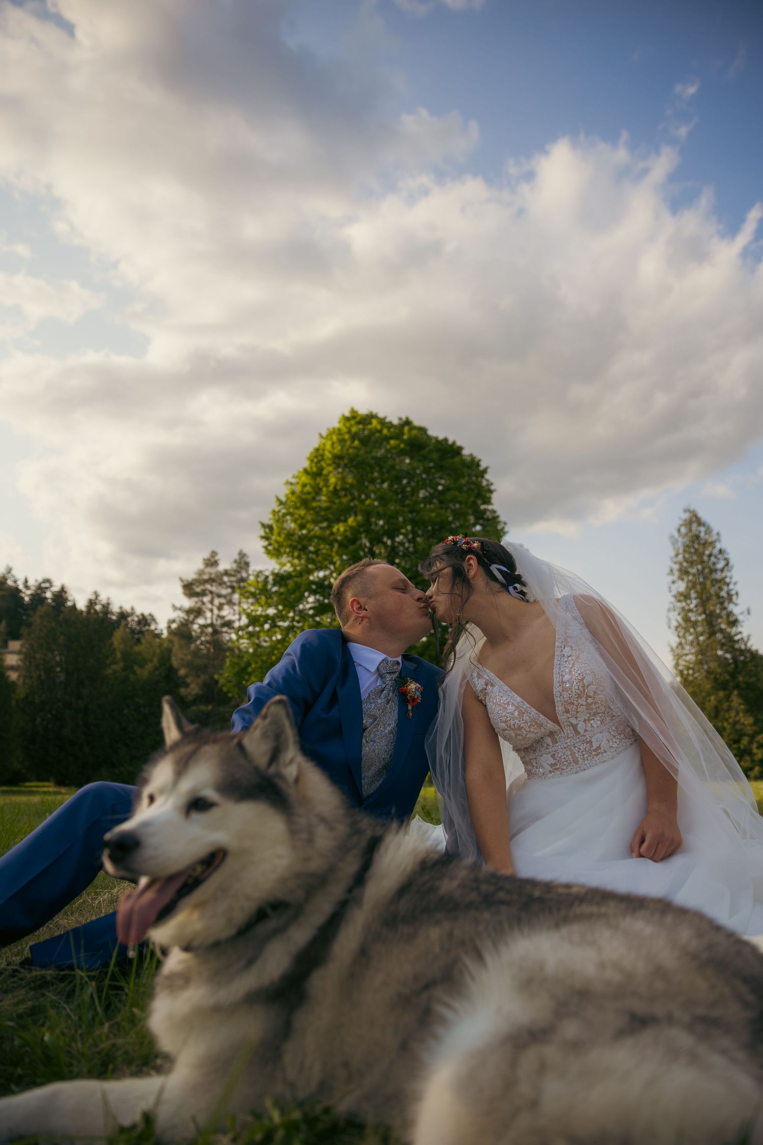 Newlyweds relax on grass with their Husky dog during outdoor wedding photoshoot.