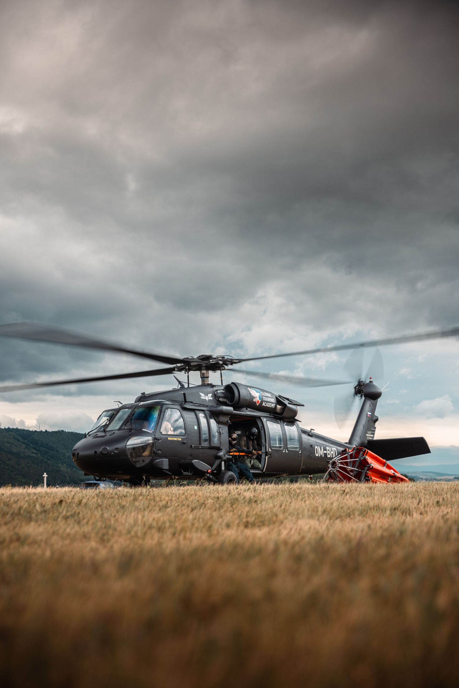 Military helicopters parked in grassy field under dramatic stormy sky.