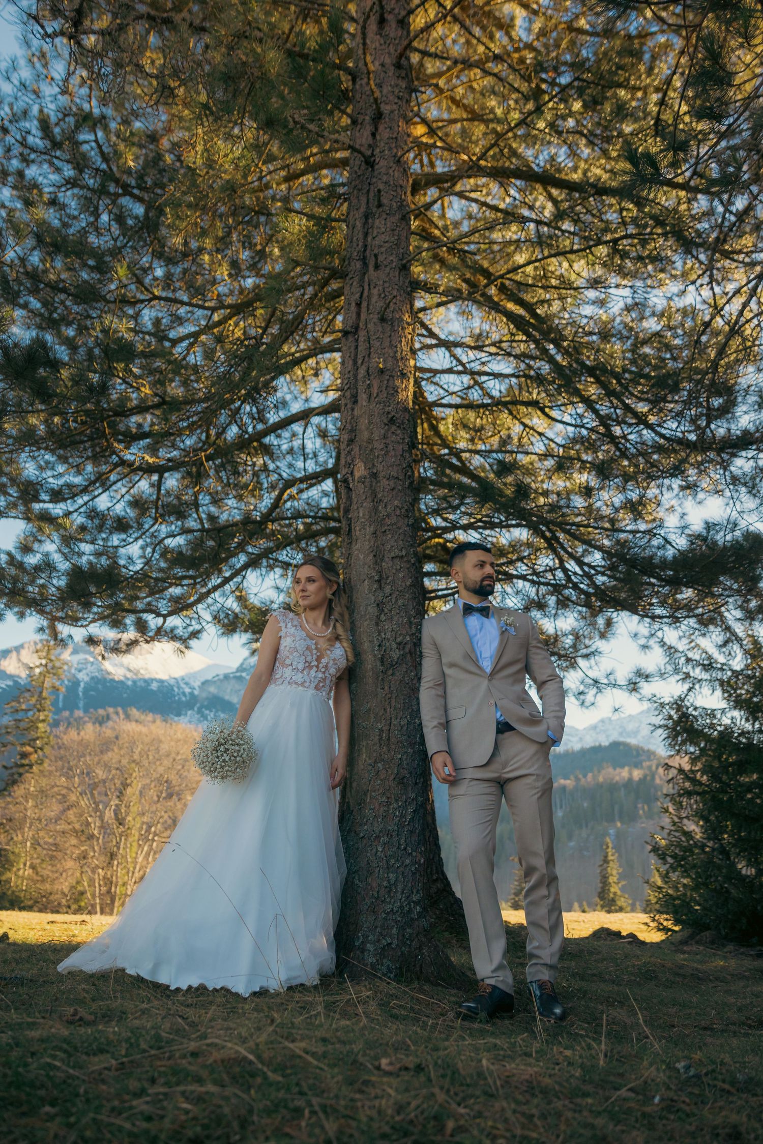 Romantic wedding couple poses by a large pine tree with mountain views at sunset.