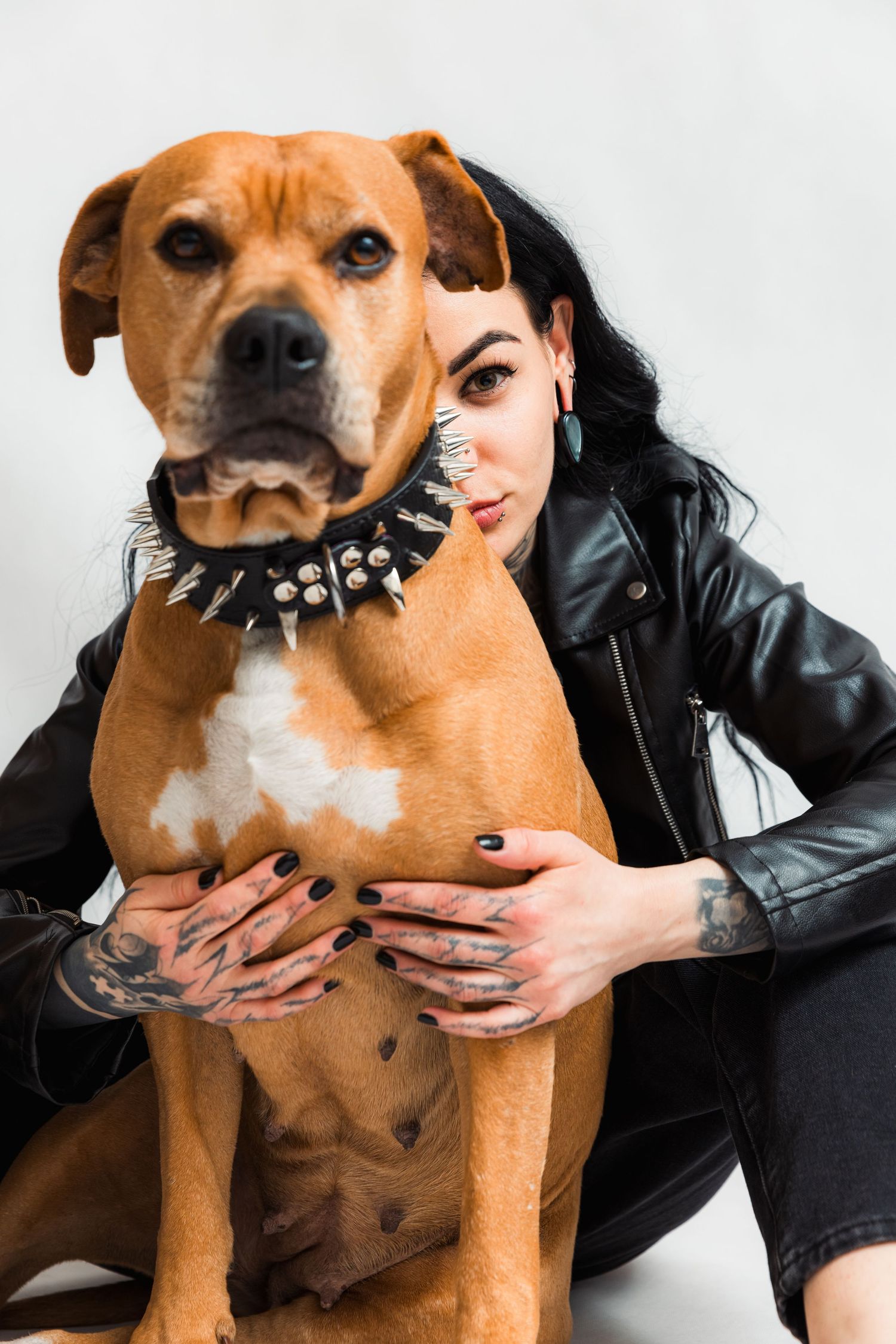 A brown pit bull type dog wearing a spiked collar poses with someone in a leather jacket.