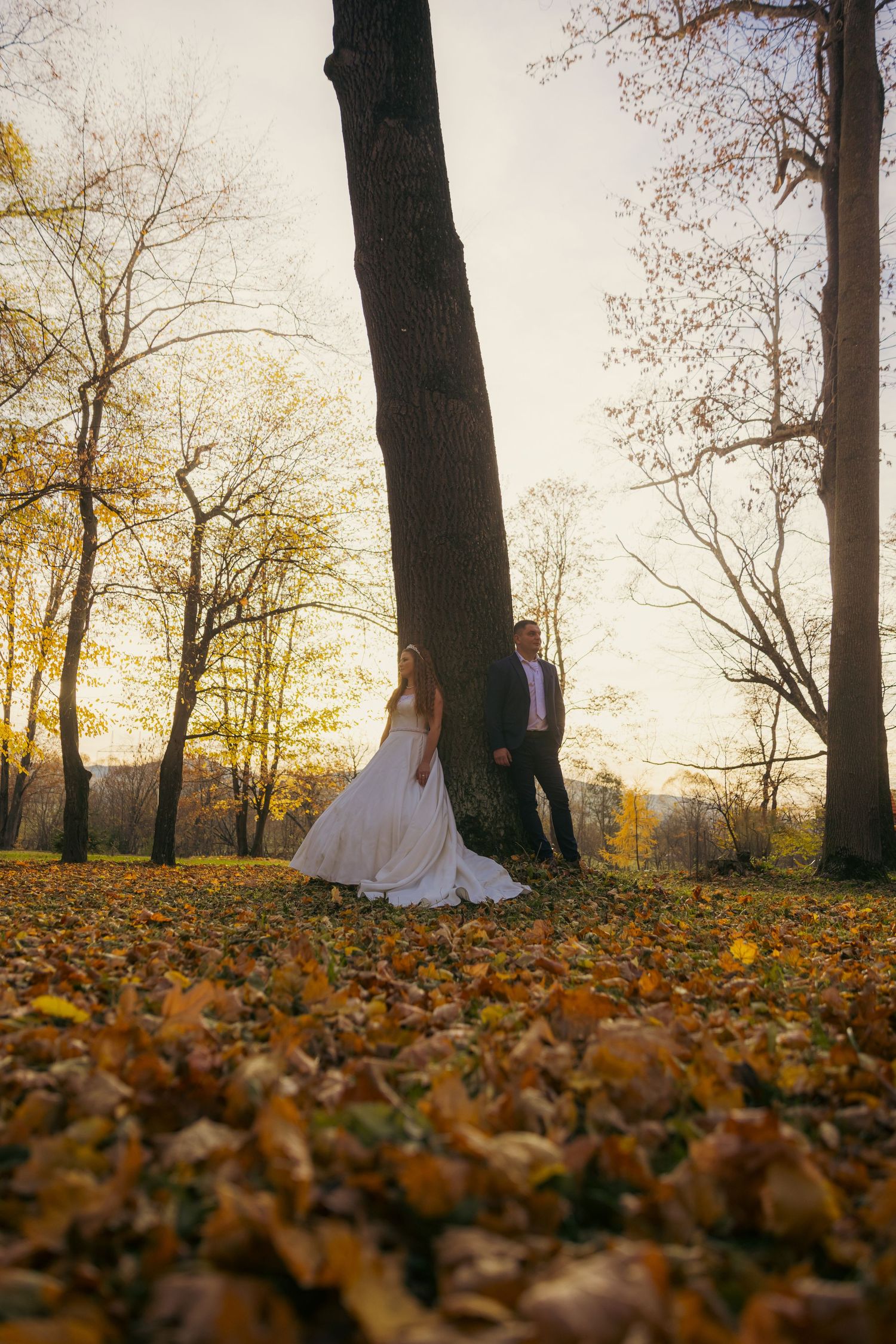 Autumn wedding photoshoot with fallen leaves in foreground and tall trees silhouetted at sunset.