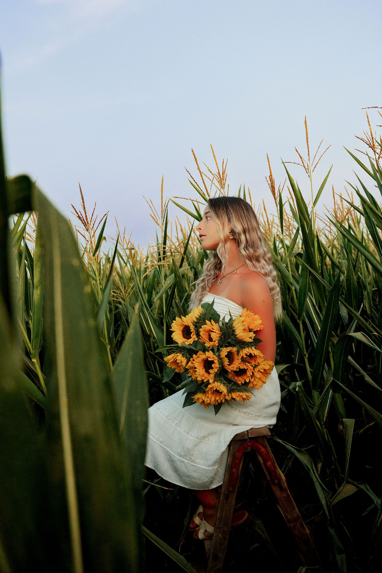 shooting photo dans un champ de mais avec une femme portant un bouquet de tournesol