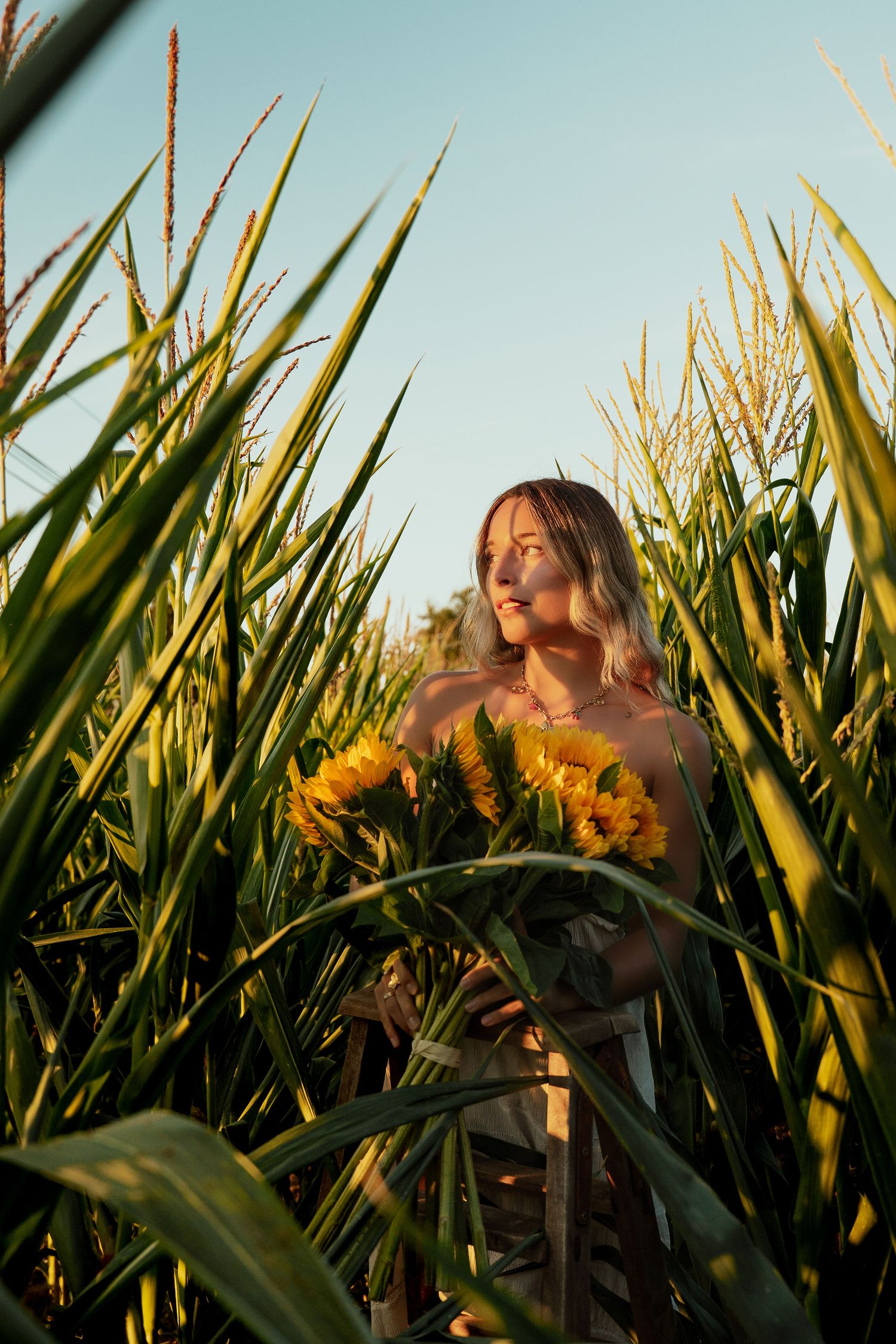 femme dans un champ de mais avec un bouquet de tournesol