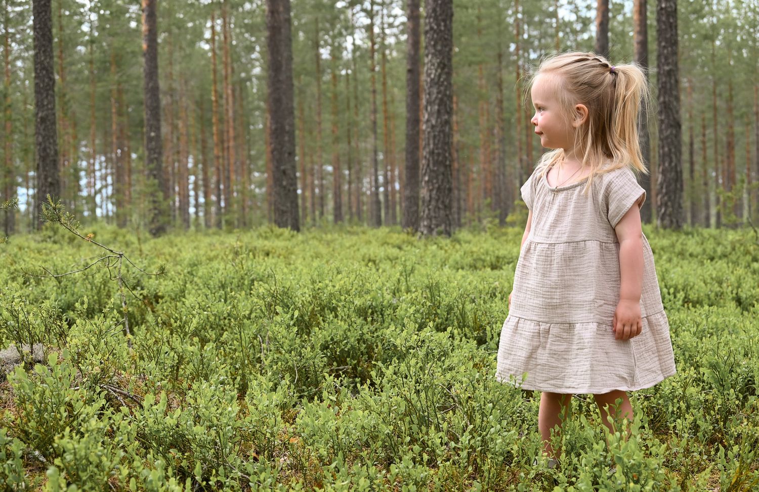 Barn i blåbärsris och tallskog under familjefotografering utomhus på sommaren.