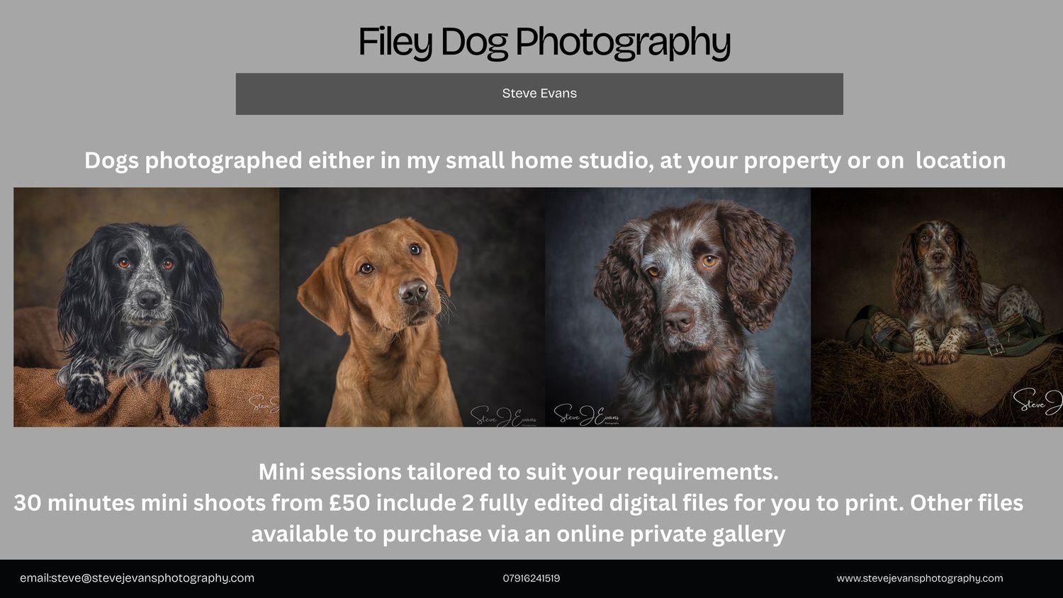 Filey pet photography special offer