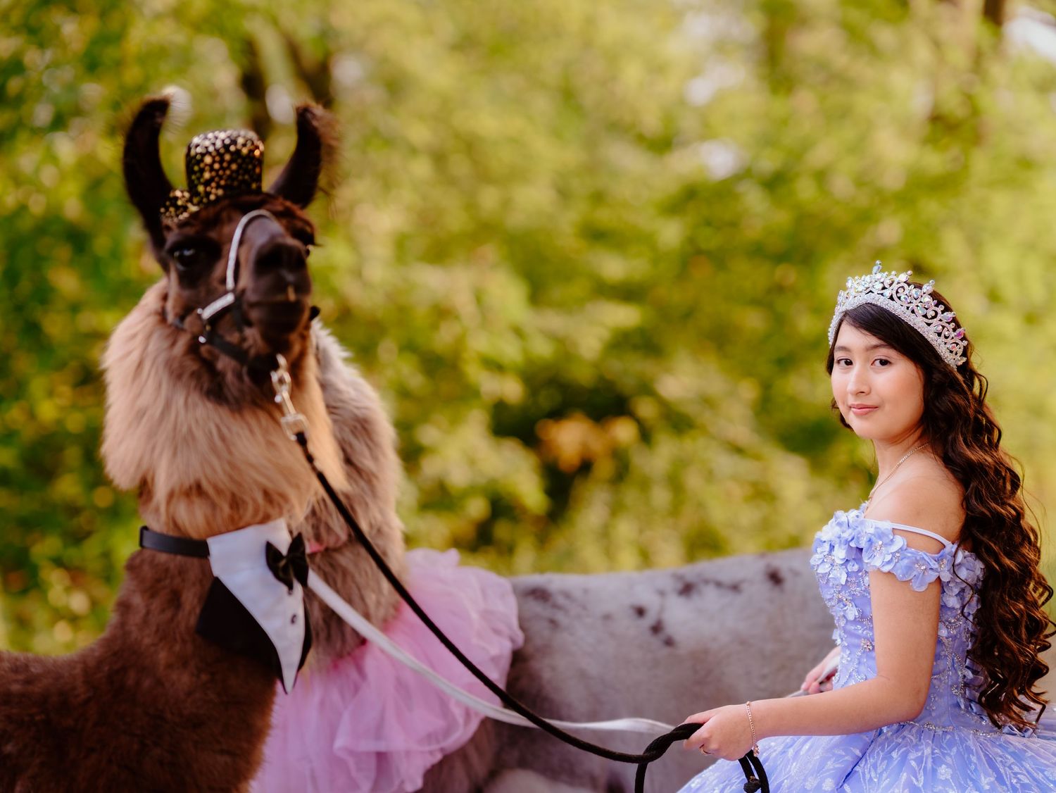 Celebrate your Quinceañera in style with a timeless Sweet XV photo session by Juve Photography, serving Saint Paul & Minneapolis, Minnesota.
