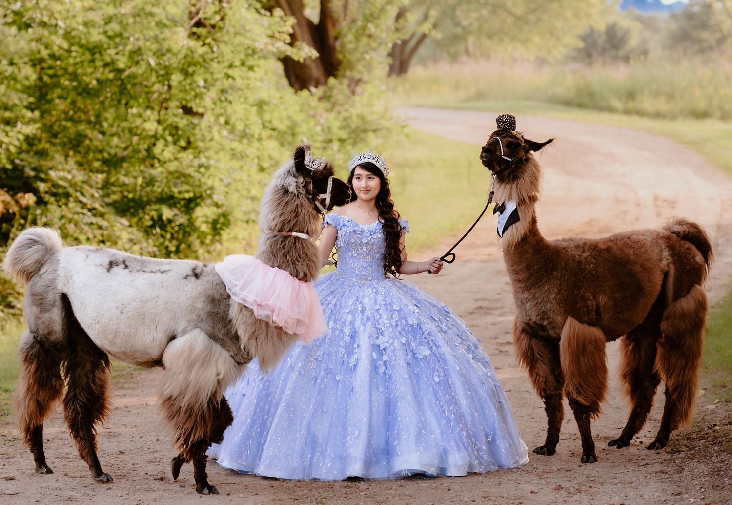 Celebrate your Quinceañera in style with a timeless Sweet XV photo session by Juve Photography, serving Saint Paul & Minneapolis, Minnesota.