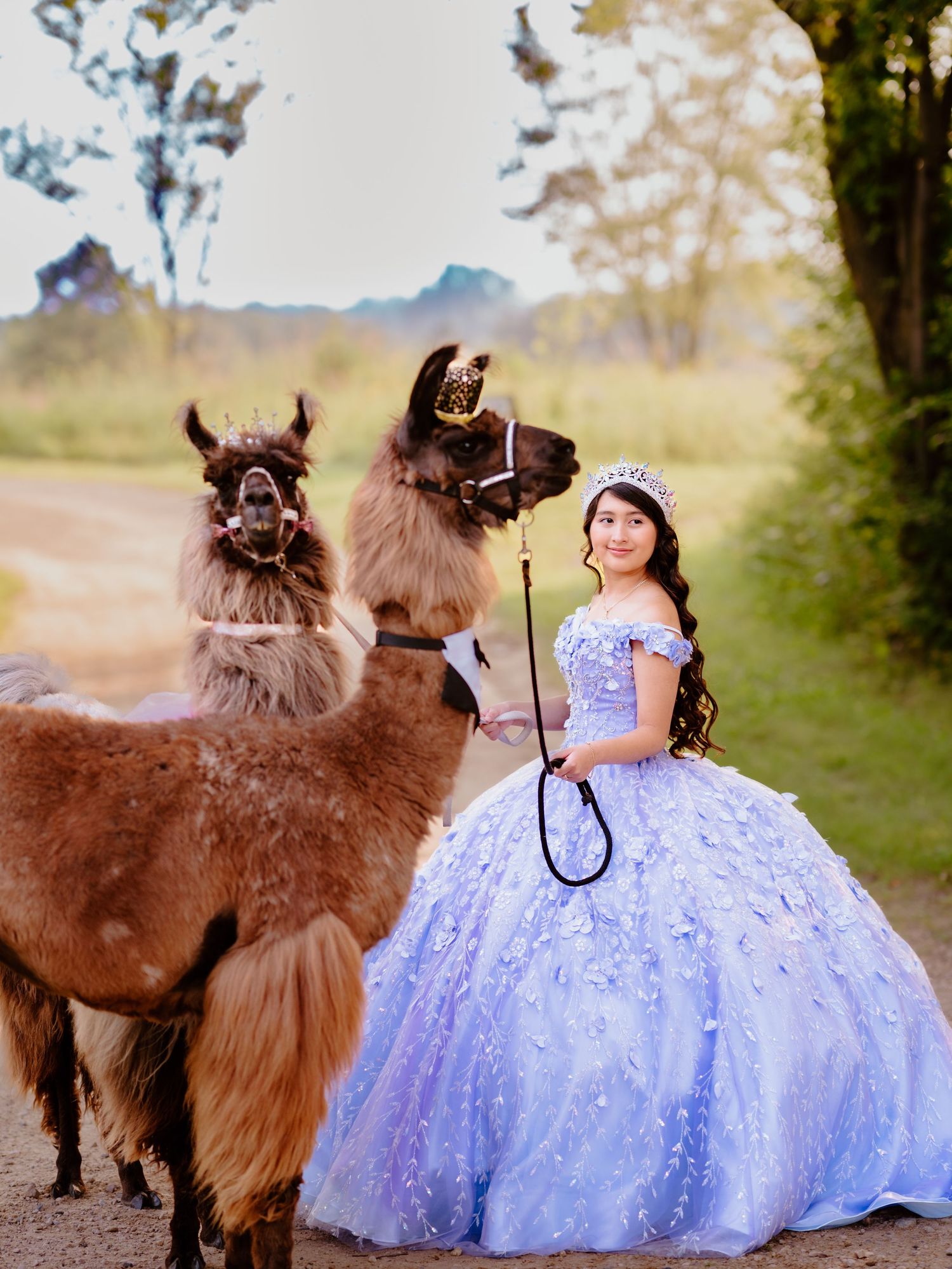 Celebrate your Quinceañera in style with a timeless Sweet XV photo session by Juve Photography, serving Saint Paul & Minneapolis, Minnesota.