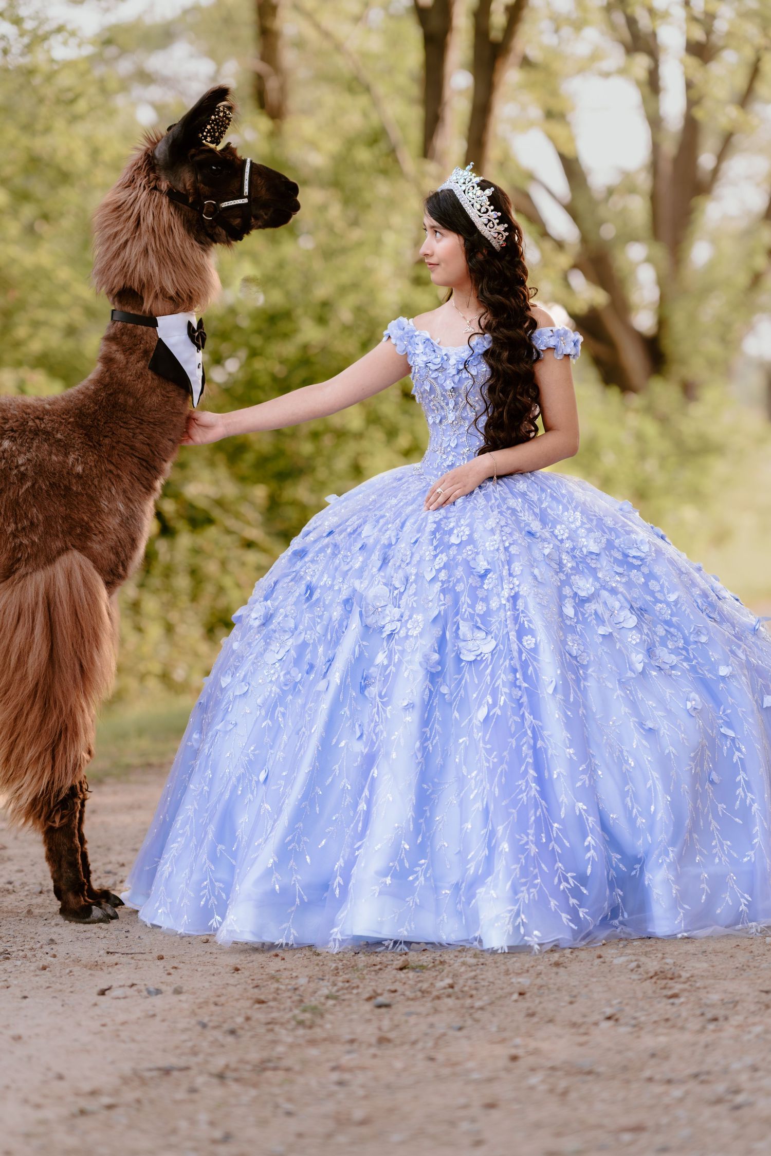 Celebrate your Quinceañera in style with a timeless Sweet XV photo session by Juve Photography, serving Saint Paul & Minneapolis, Minnesota.