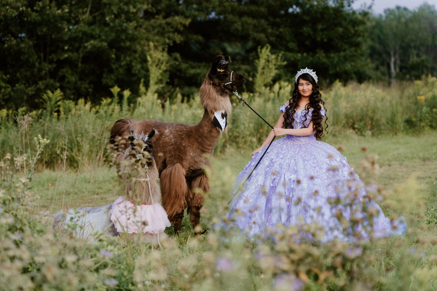 Celebrate your Quinceañera in style with a timeless Sweet XV photo session by Juve Photography, serving Saint Paul & Minneapolis, Minnesota.