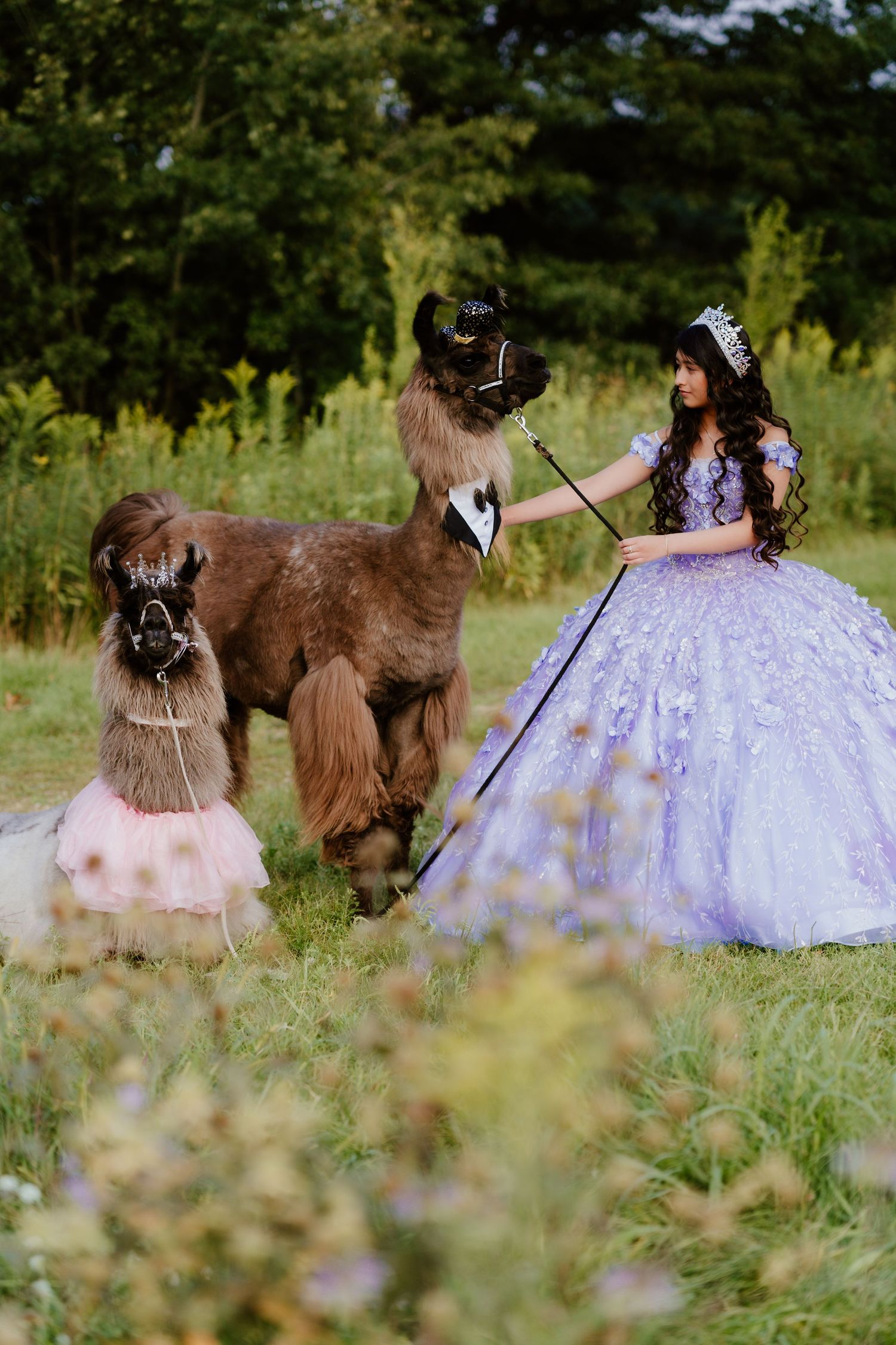 Celebrate your Quinceañera in style with a timeless Sweet XV photo session by Juve Photography, serving Saint Paul & Minneapolis, Minnesota.