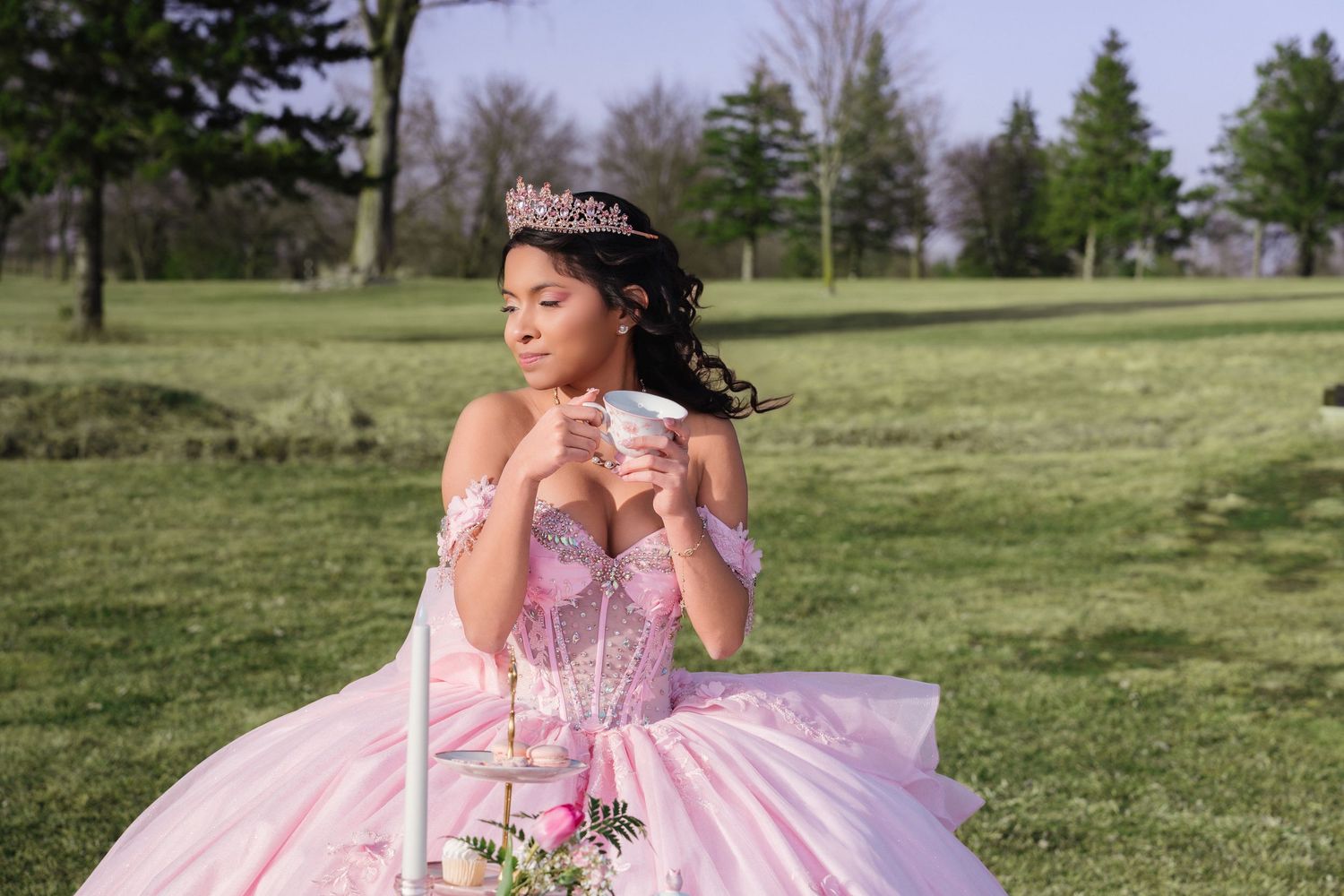 Quinceanera tea party theme session Saint Paul Minneapolis, Minnesota JuvePhotography