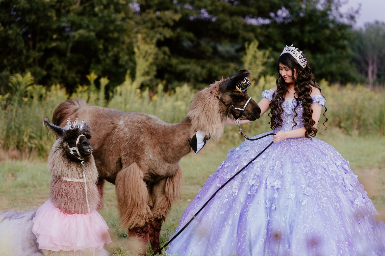 Celebrate your Quinceañera in style with a timeless Sweet XV photo session by Juve Photography, serving Saint Paul & Minneapolis, Minnesota.