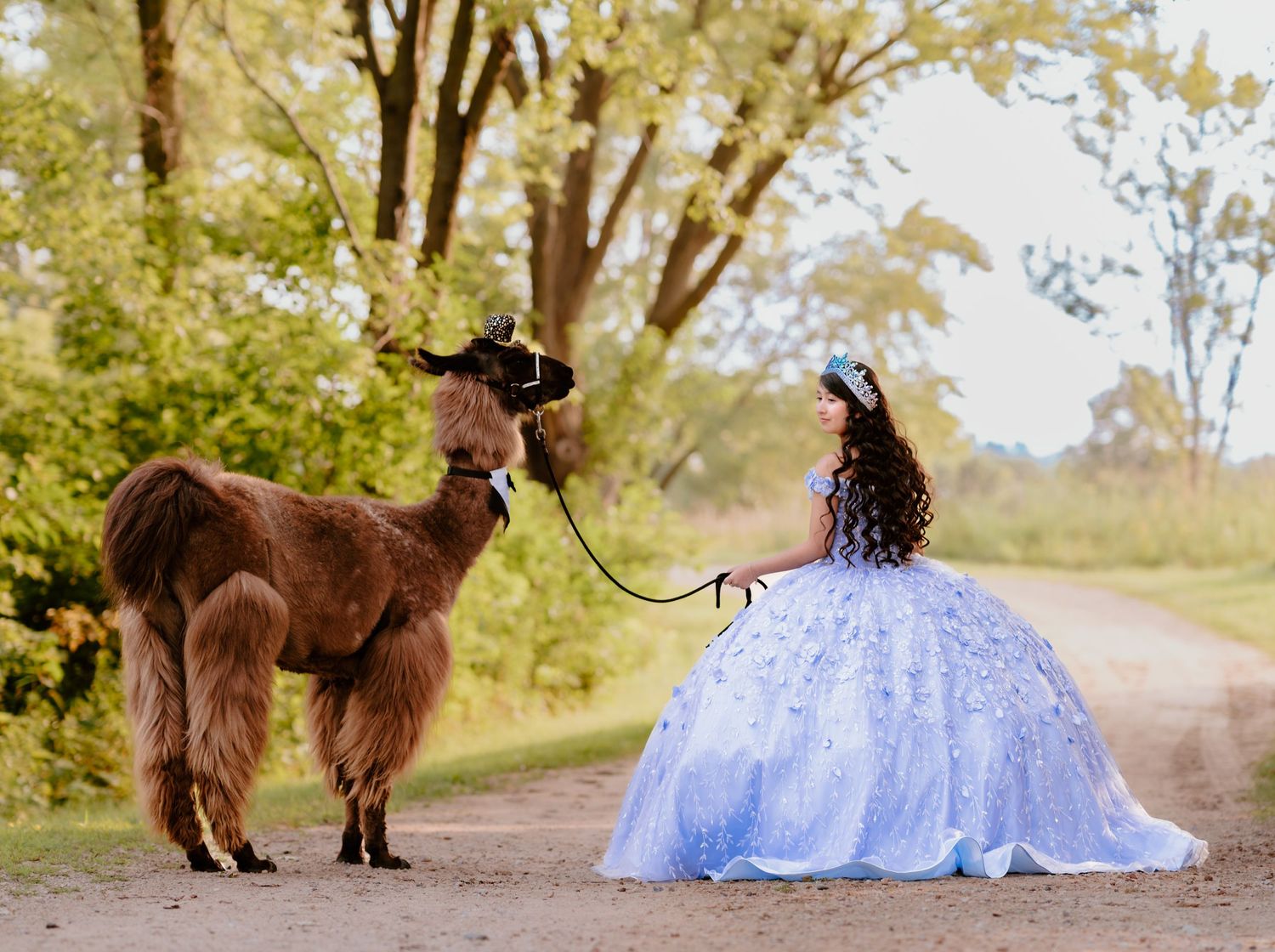 Celebrate your Quinceañera in style with a timeless Sweet XV photo session by Juve Photography, serving Saint Paul & Minneapolis, Minnesota.