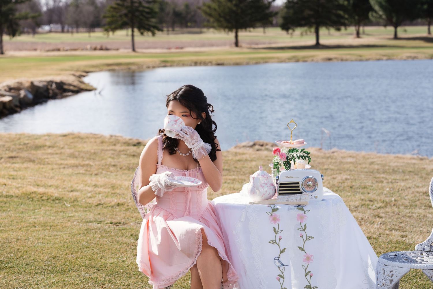 Quinceanera tea party theme session Saint Paul Minneapolis, Minnesota JuvePhotography