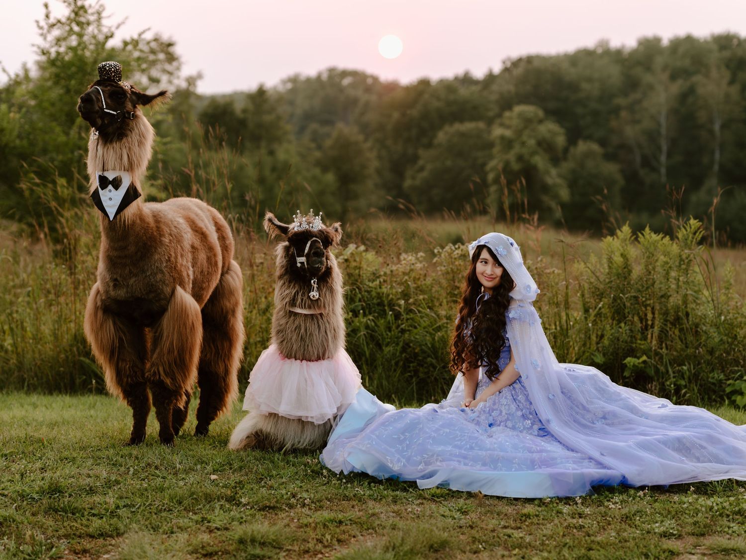 Celebrate your Quinceañera in style with a timeless Sweet XV photo session by Juve Photography, serving Saint Paul & Minneapolis, Minnesota.