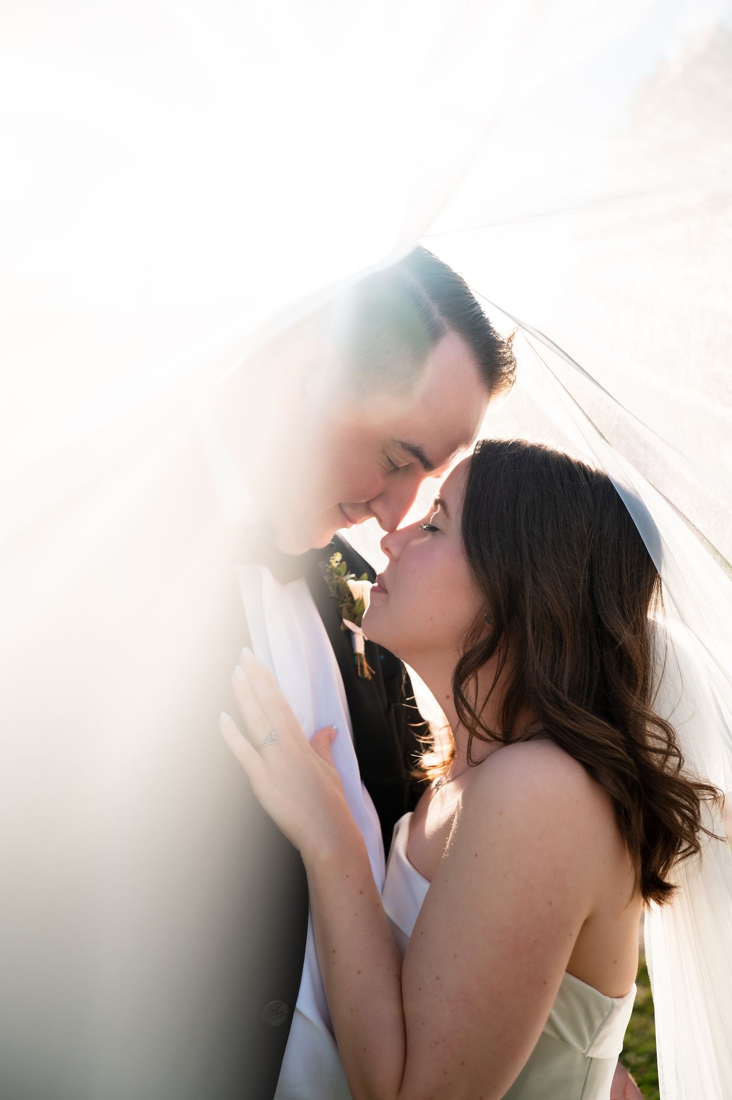 A bride and groom share a romantic kiss under a flowing veil with soft backlit sunlight on their wedding day.