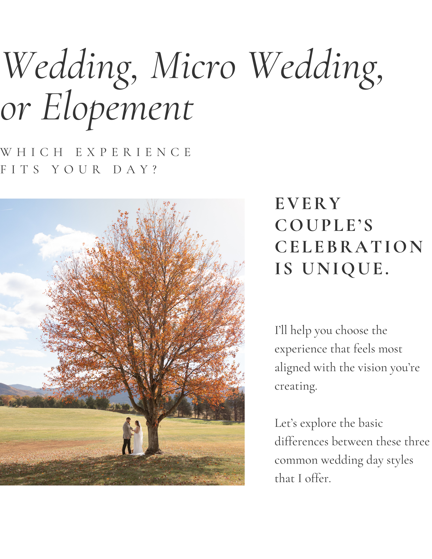 A wedding planning website layout showcasing different ceremony options with autumn trees and outdoor scenery.