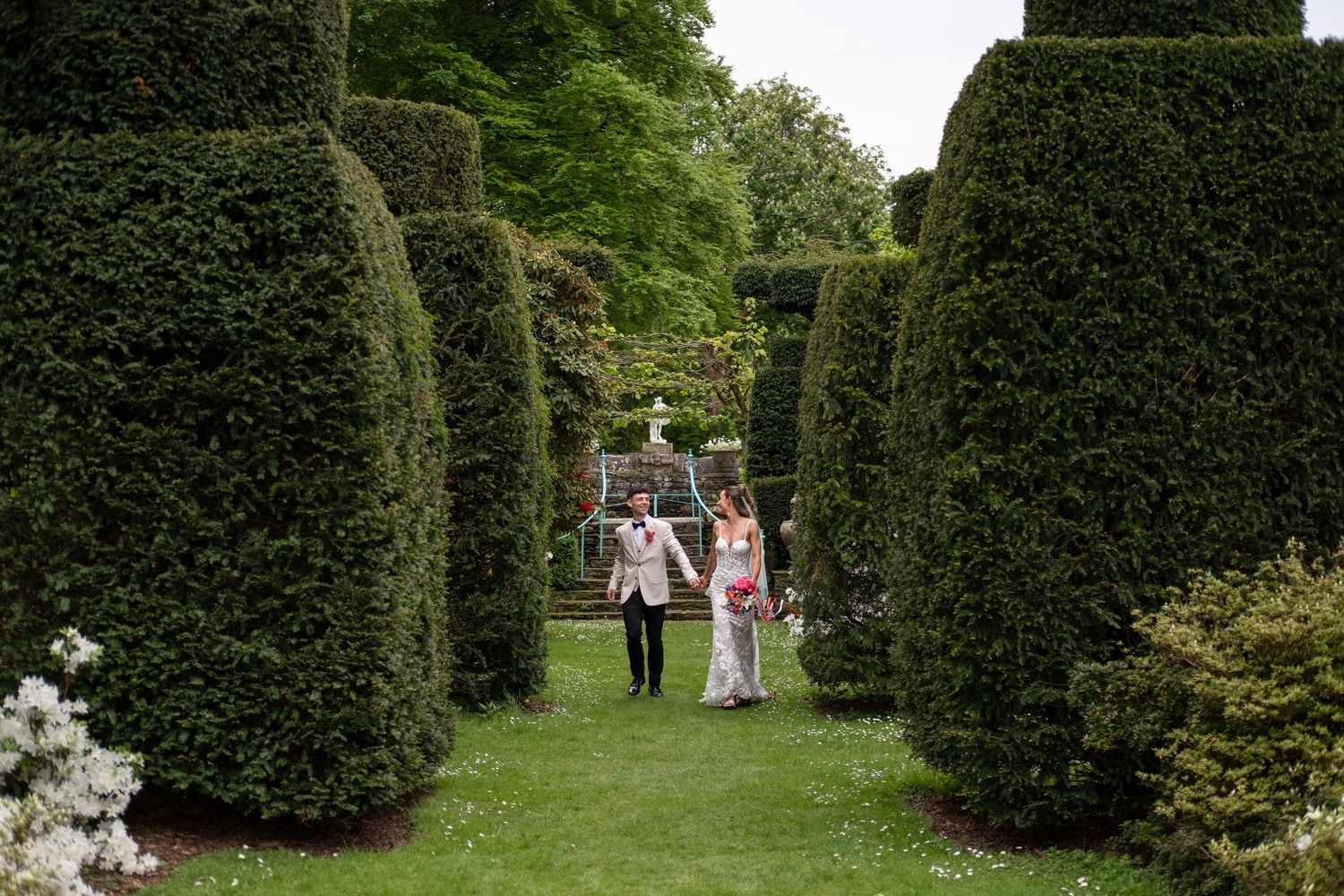 Couple walking through elegant topiary garden with tall sculpted hedges on their wedding day.