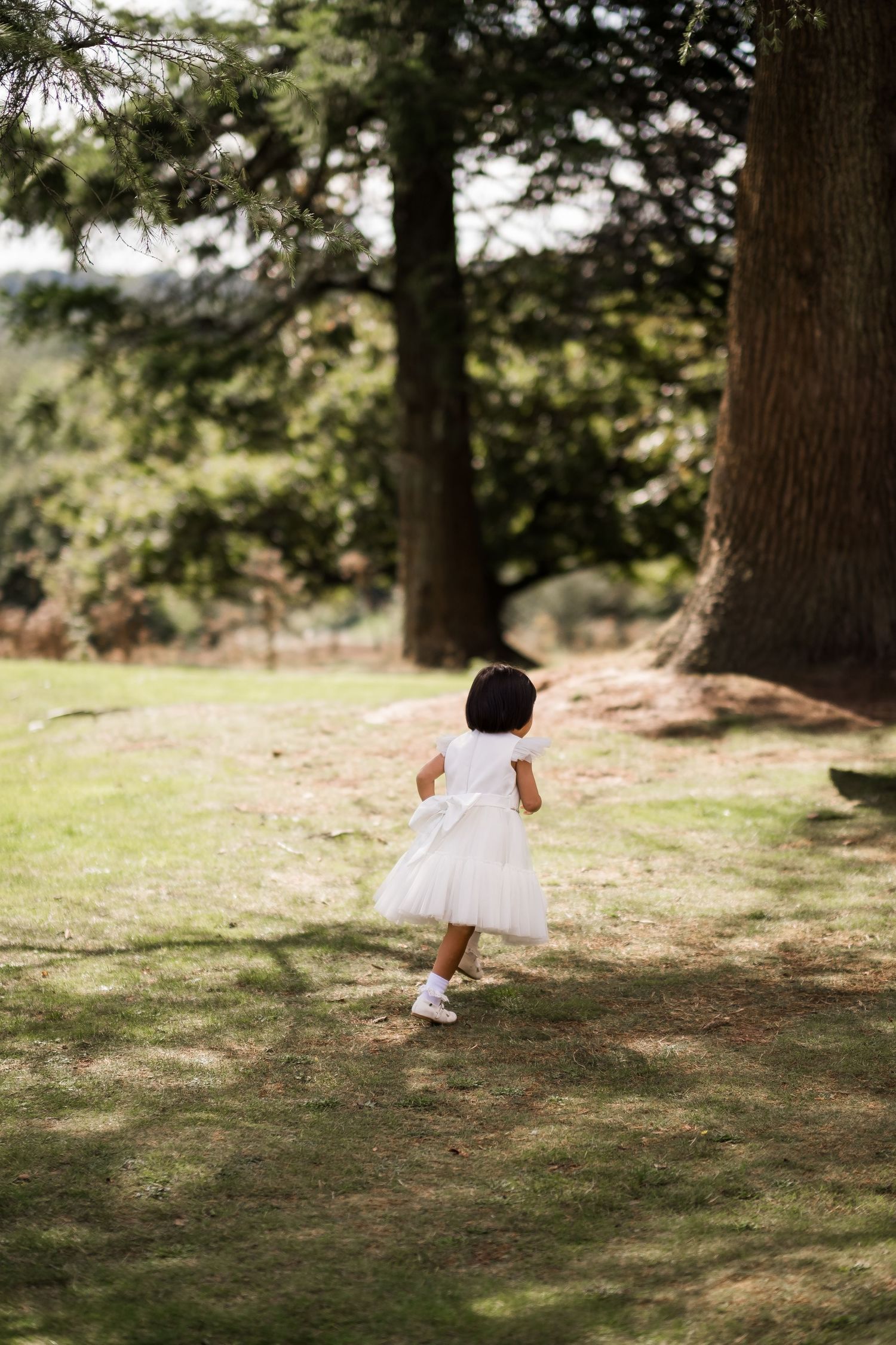 A child in a white dress plays in a dappled sunlit forest clearing, shown in a sequence of four connected images.