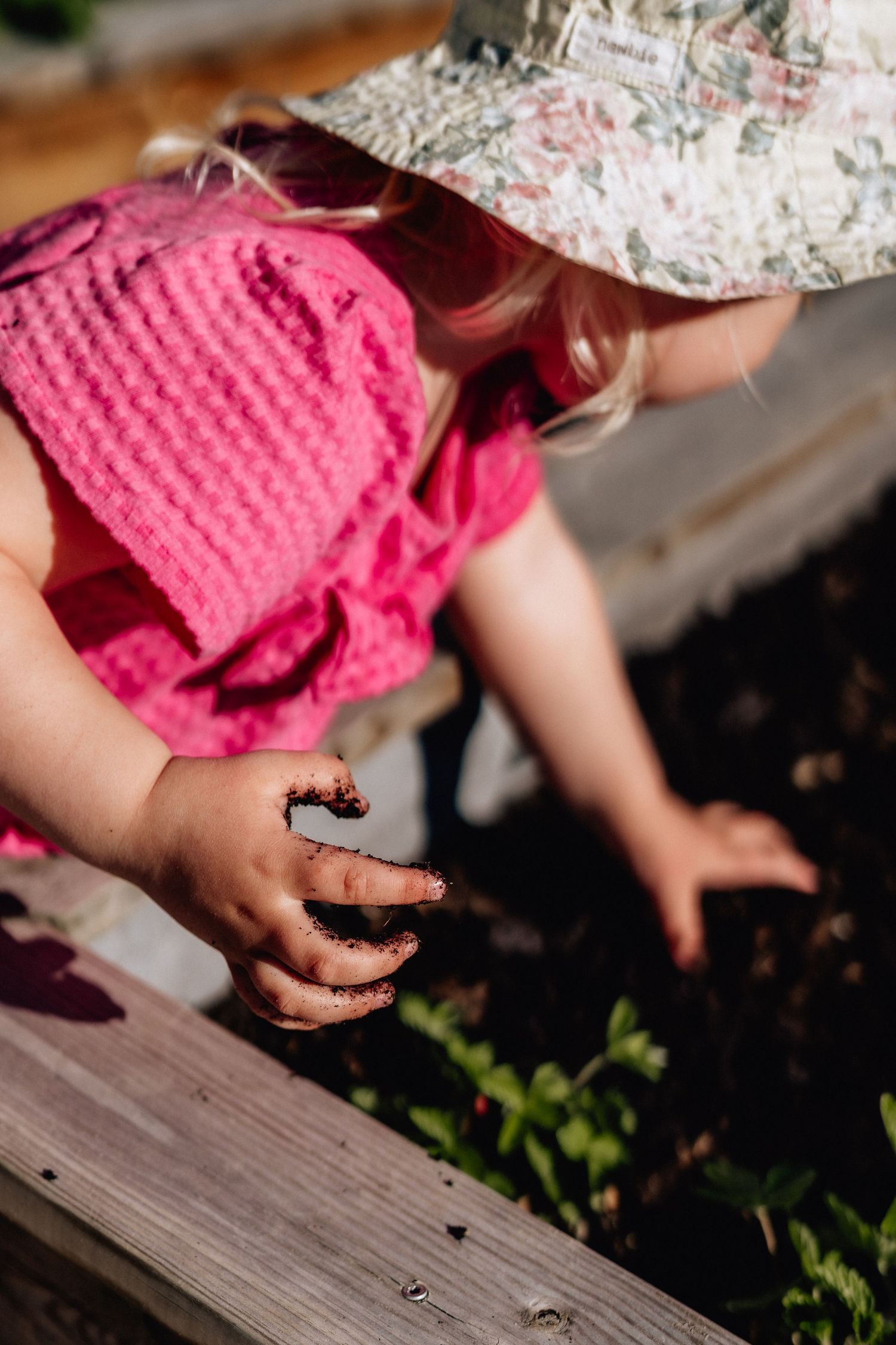 Närbild på en liten barnhand som är jordig på grund av plantering.