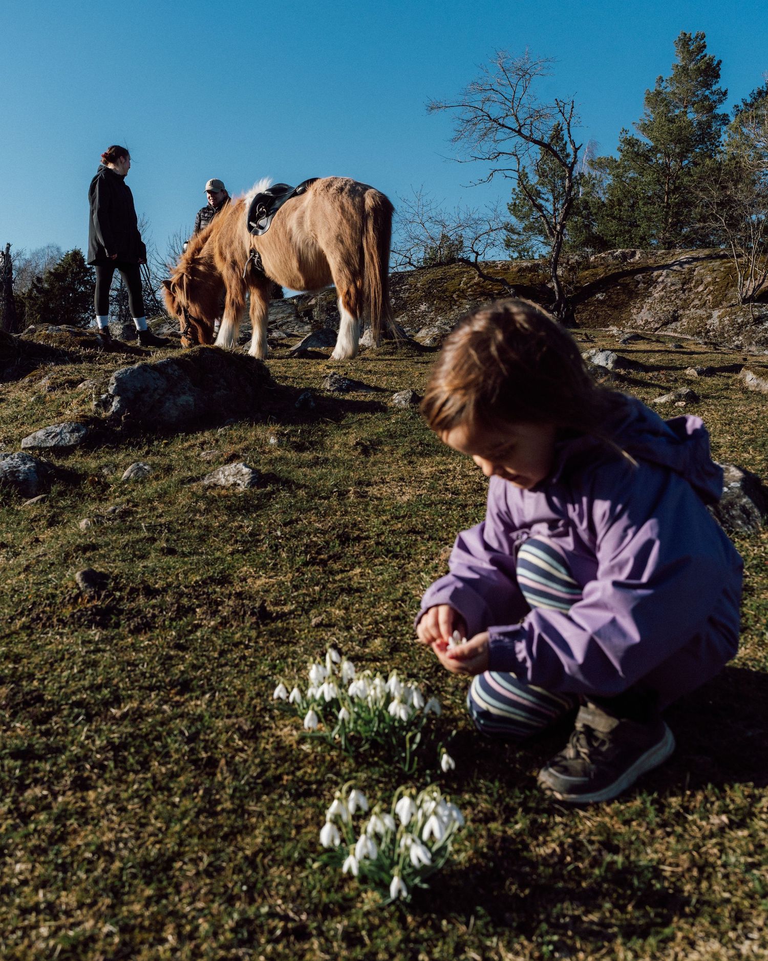 En liten flicka plockar vita blommor och längre bort står två kvinnor och en häst.