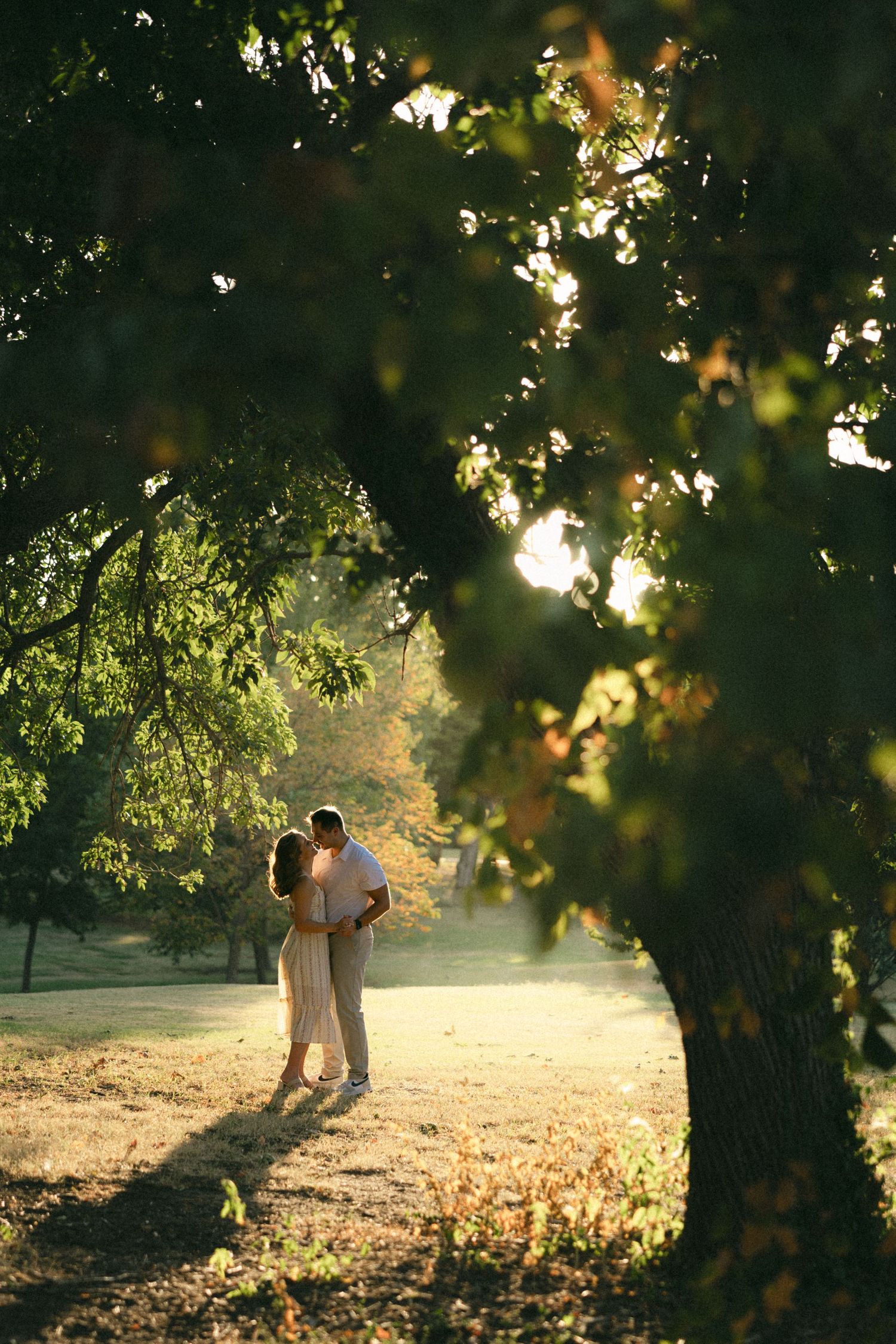 Couple embracing romantically under large oak trees in golden sunset light in a lush green park.