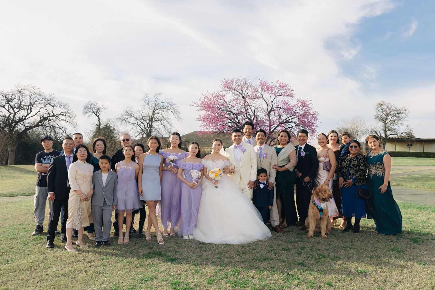 Wedding party poses outdoors on green lawn with blooming pink tree backdrop under blue sky.