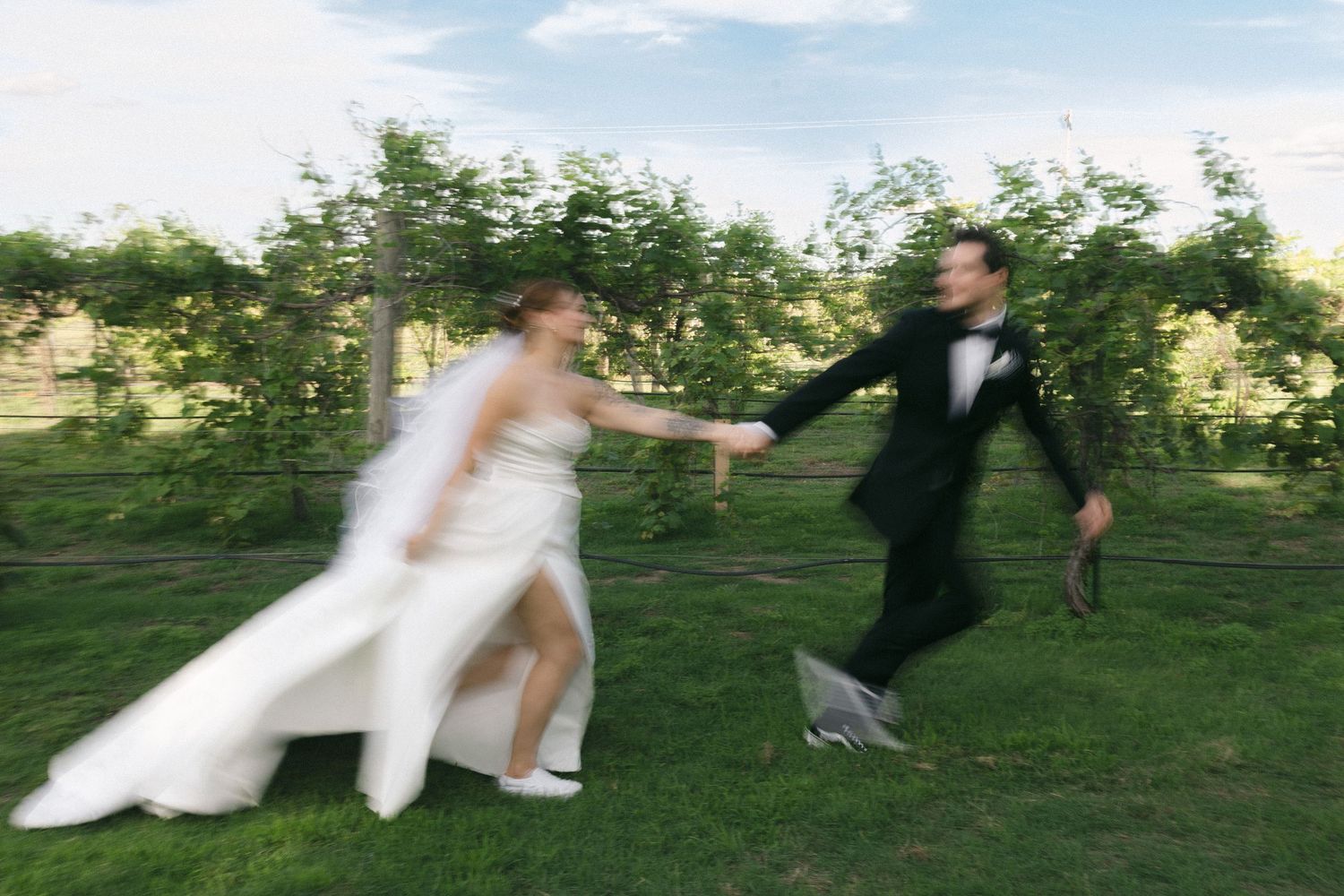 Bride and groom joyfully running hand in hand through a lush green vineyard on their wedding day.