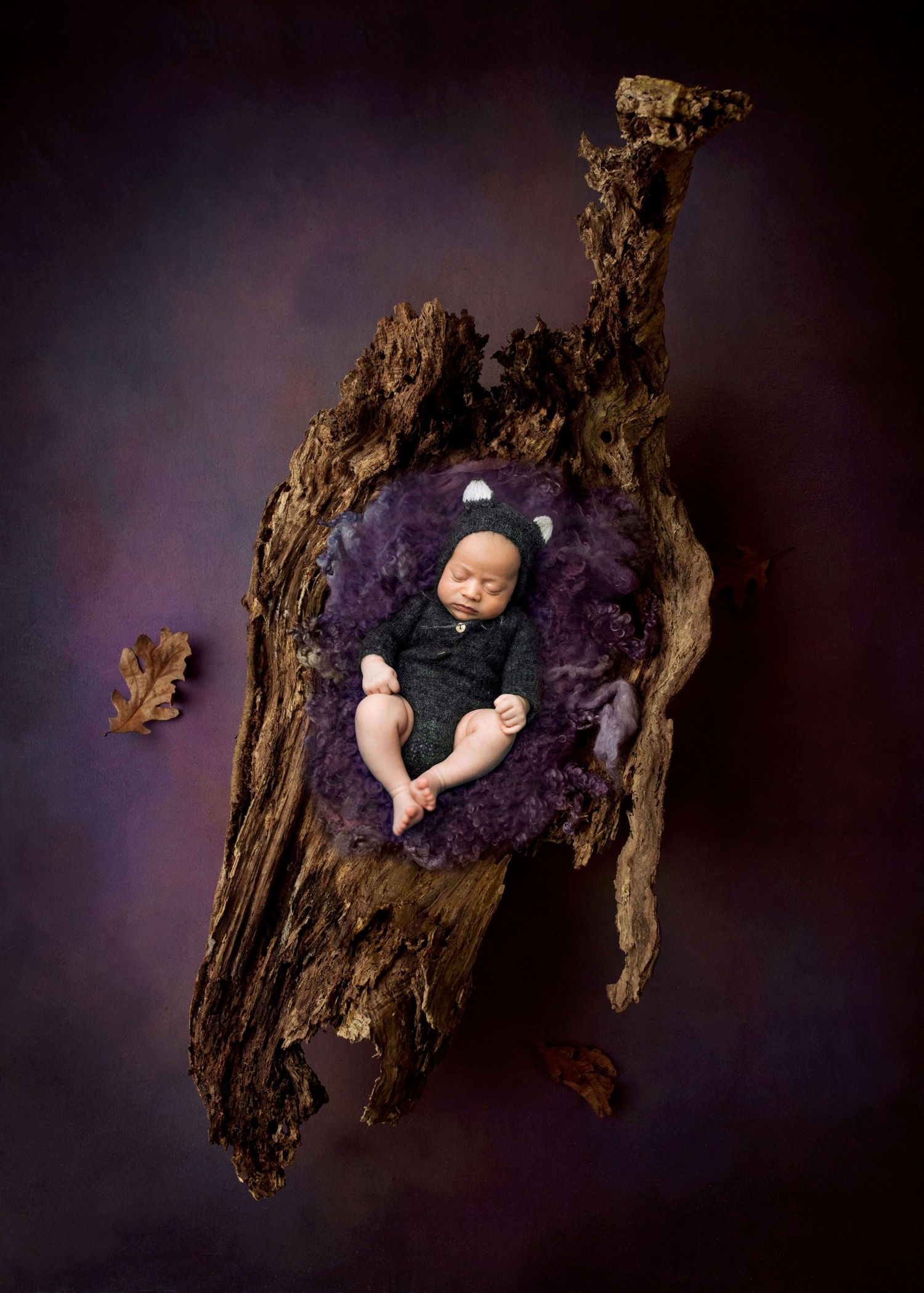 Newborn baby sleeping in a rustic wooden hollow lined with purple fur, wearing a dark outfit and animal ear bonnet.