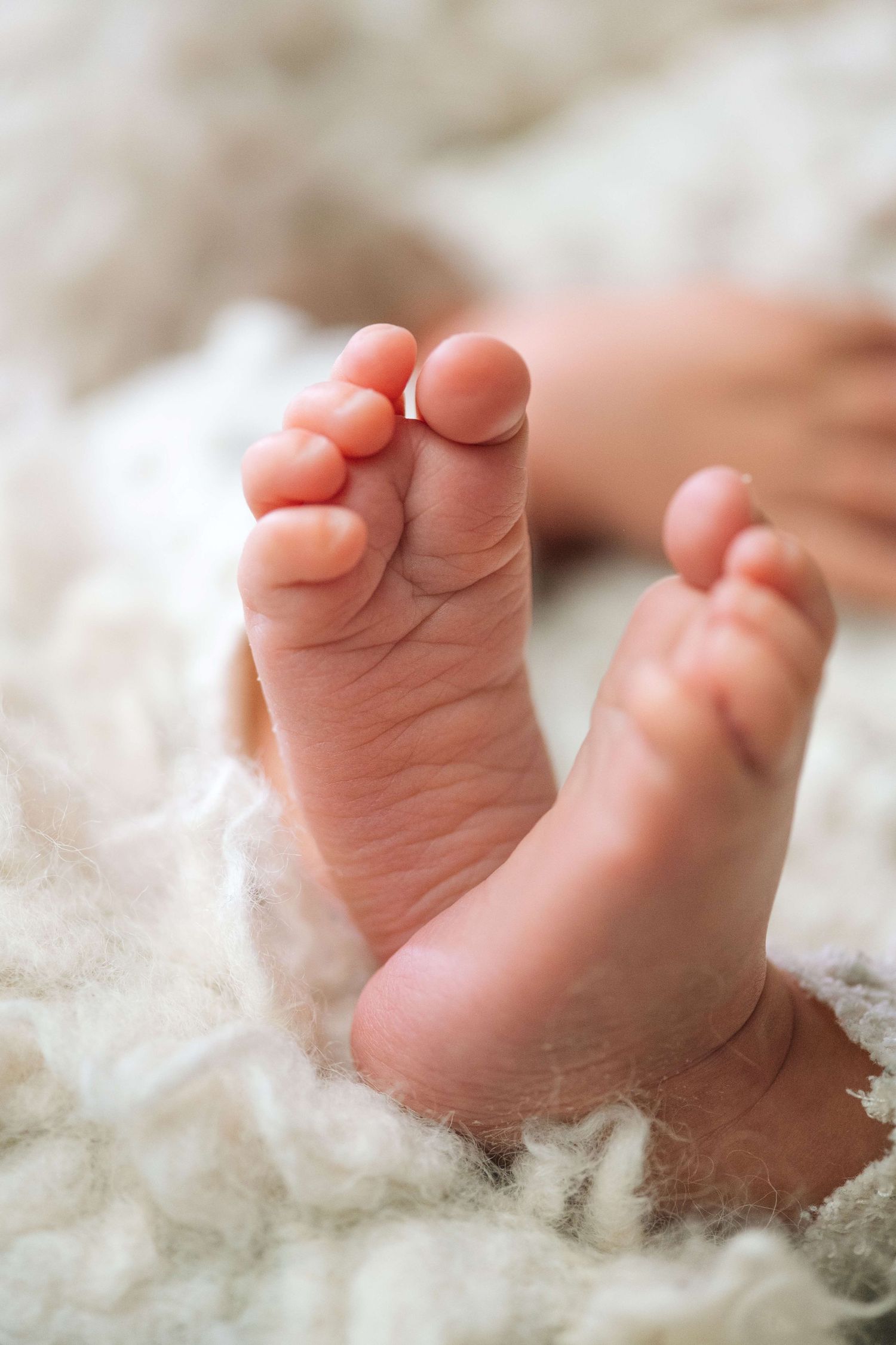 Close-up of tiny newborn baby feet resting on a soft white fluffy blanket.
