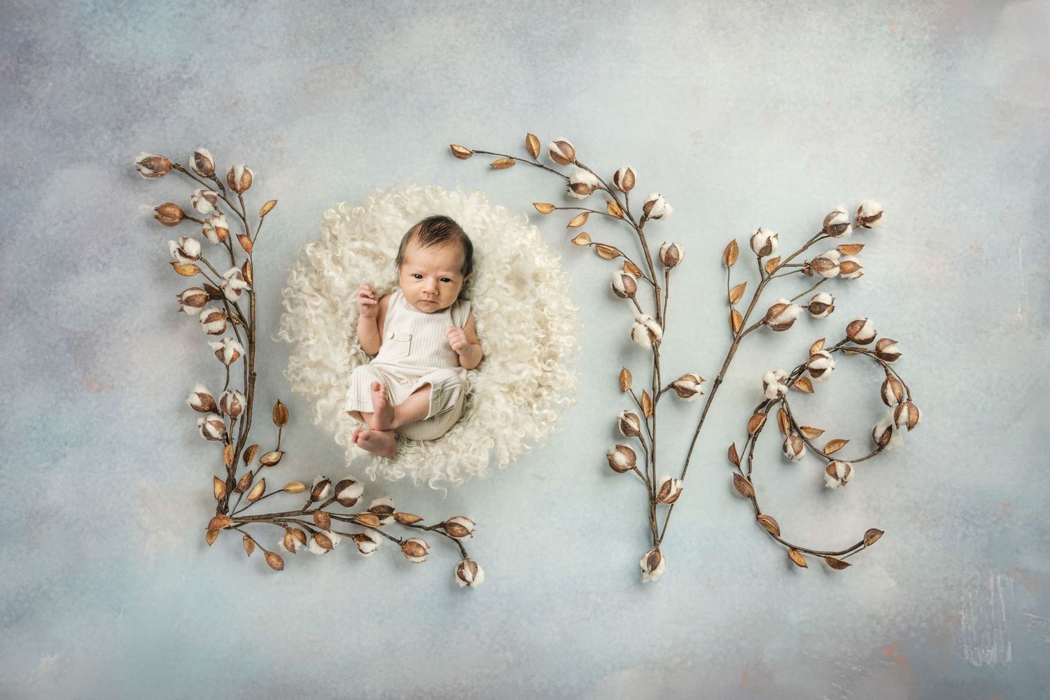 Newborn baby resting in fluffy basket surrounded by decorative golden branches spelling LOVE on soft blue background.