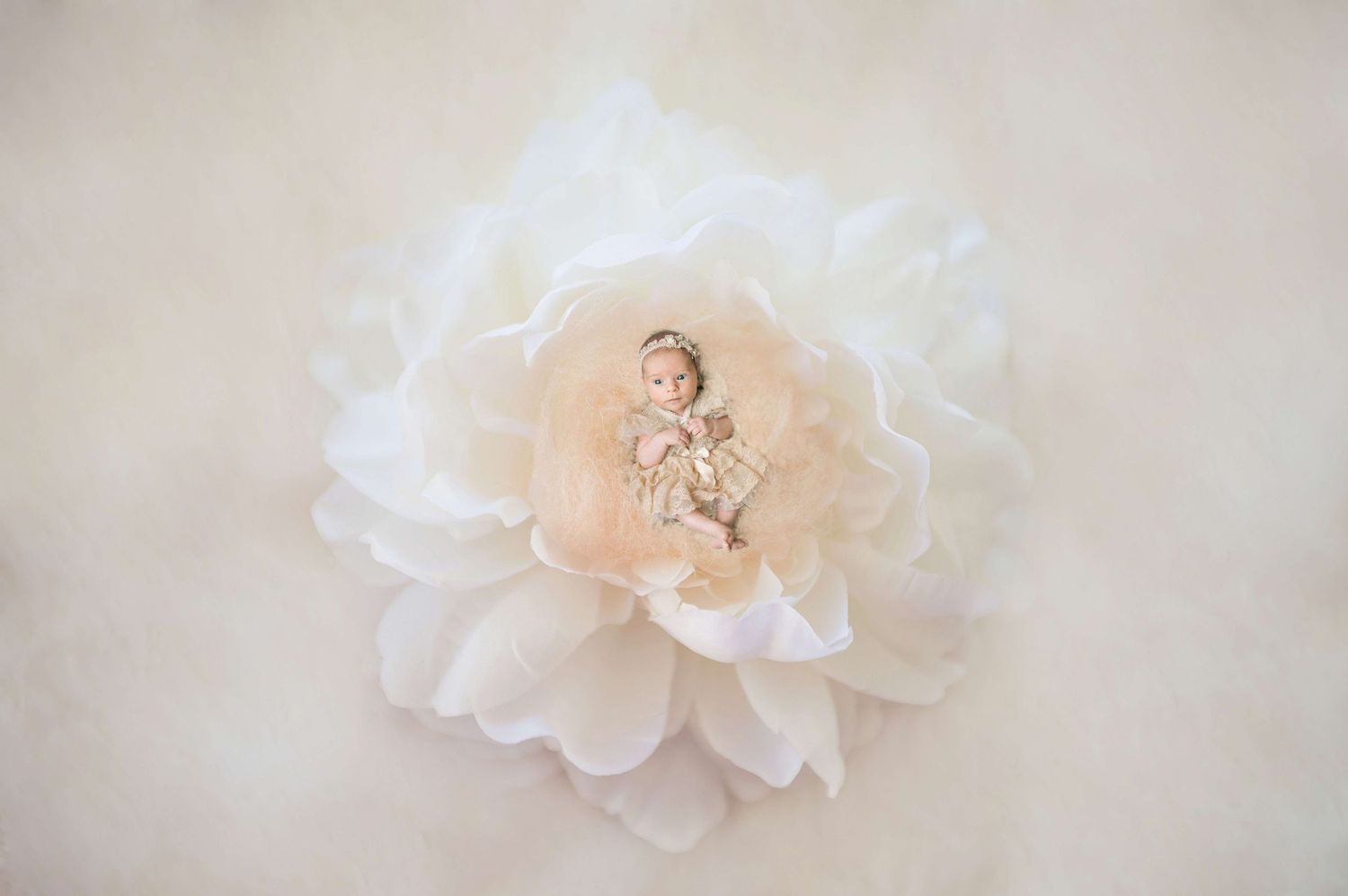 Newborn baby resting peacefully in the center of a large white peony flower in a soft, dreamy portrait.