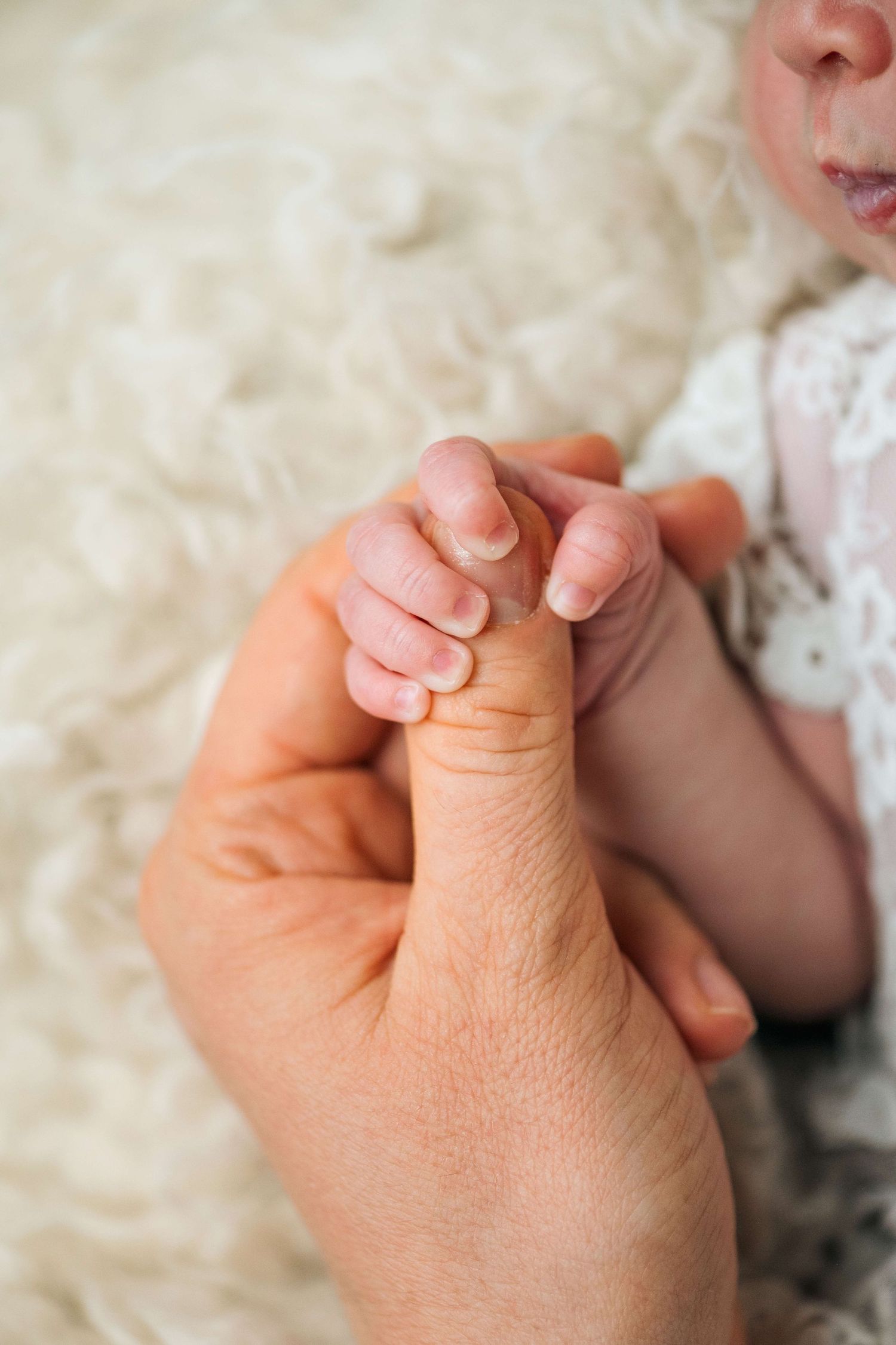 Newborn baby gripping adult parent's thumb, close-up of tiny infant fingers holding hand on white fluffy background.