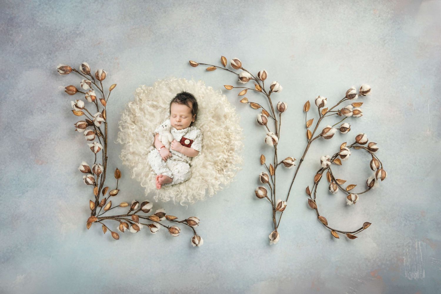 Newborn baby sleeping in a fluffy white bowl surrounded by decorative branches spelling LOVE on a soft blue background.