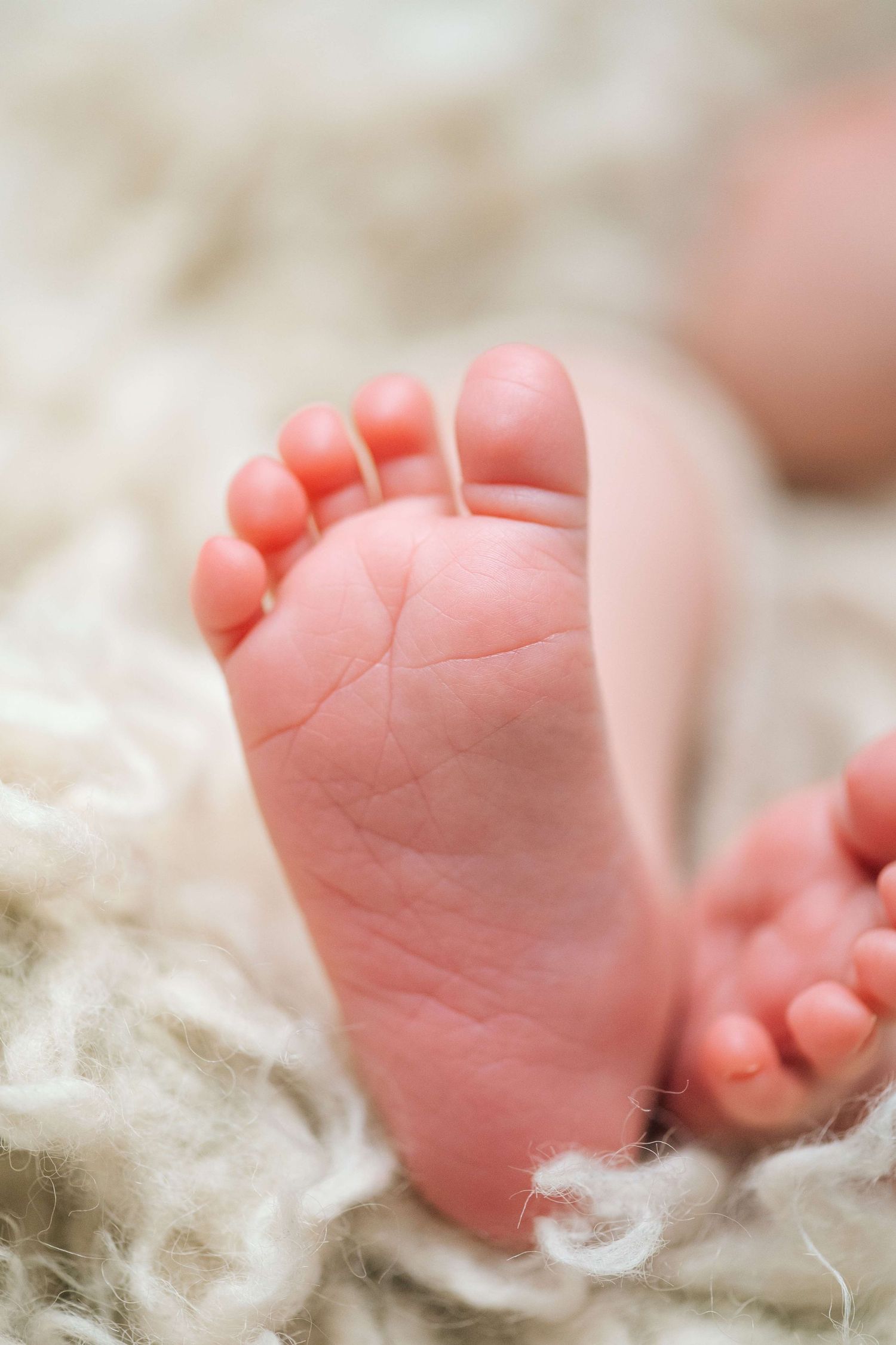 Close-up of tiny newborn baby feet resting on a soft white fluffy blanket, showcasing delicate skin and small toes.