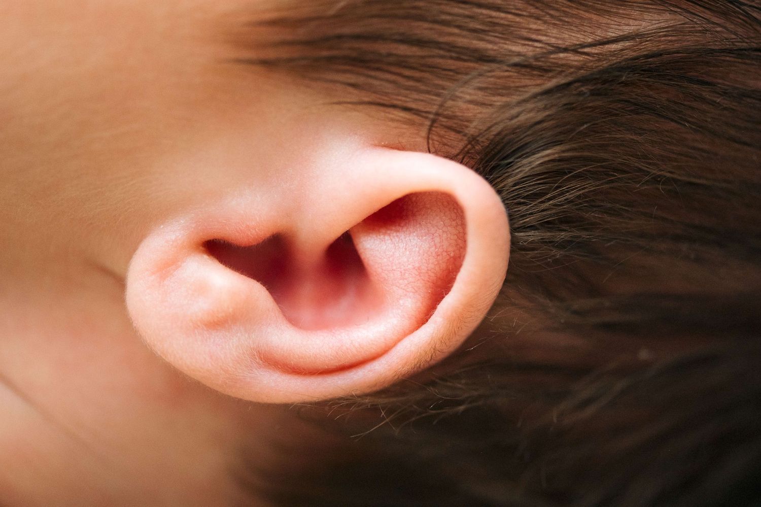 Close-up of a newborn baby's tiny ear showing delicate skin texture and fine hair detail.