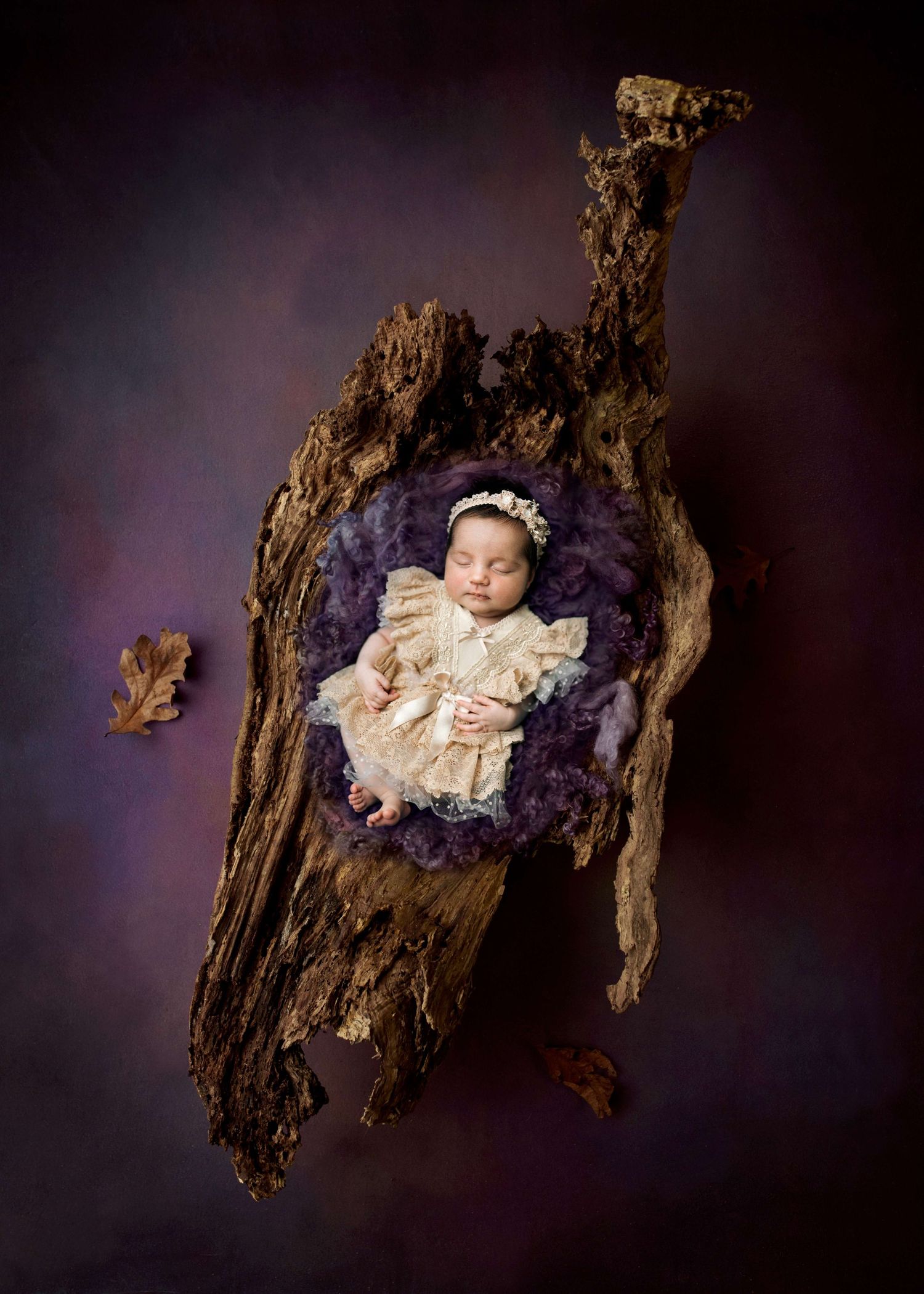 Newborn baby girl in cream lace outfit sleeping in rustic wood hollow with purple fur, surrounded by autumn oak leaves.