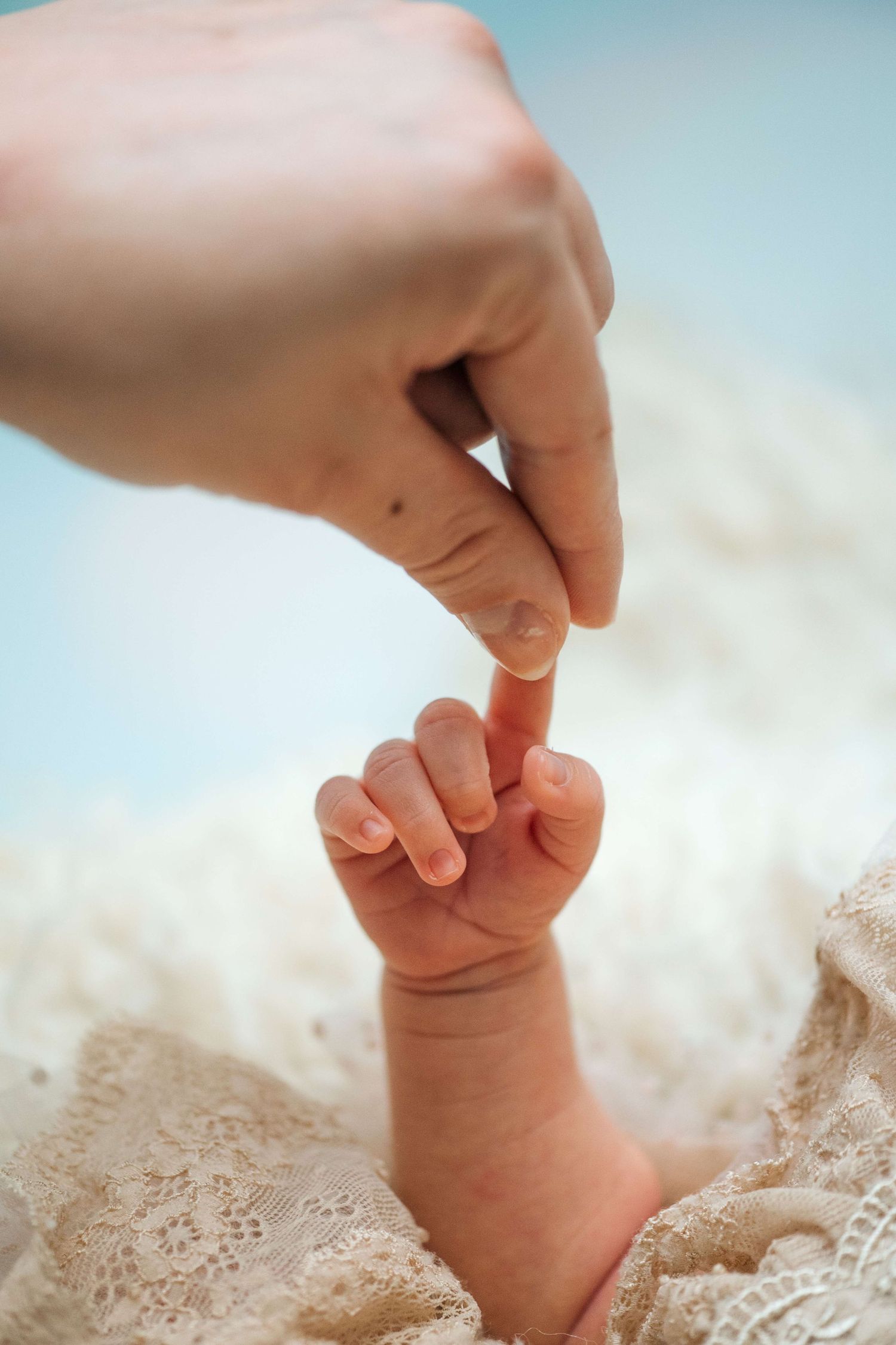 A newborn baby grasping an adult finger with tiny hand, wrapped in lace fabric on a soft white background.