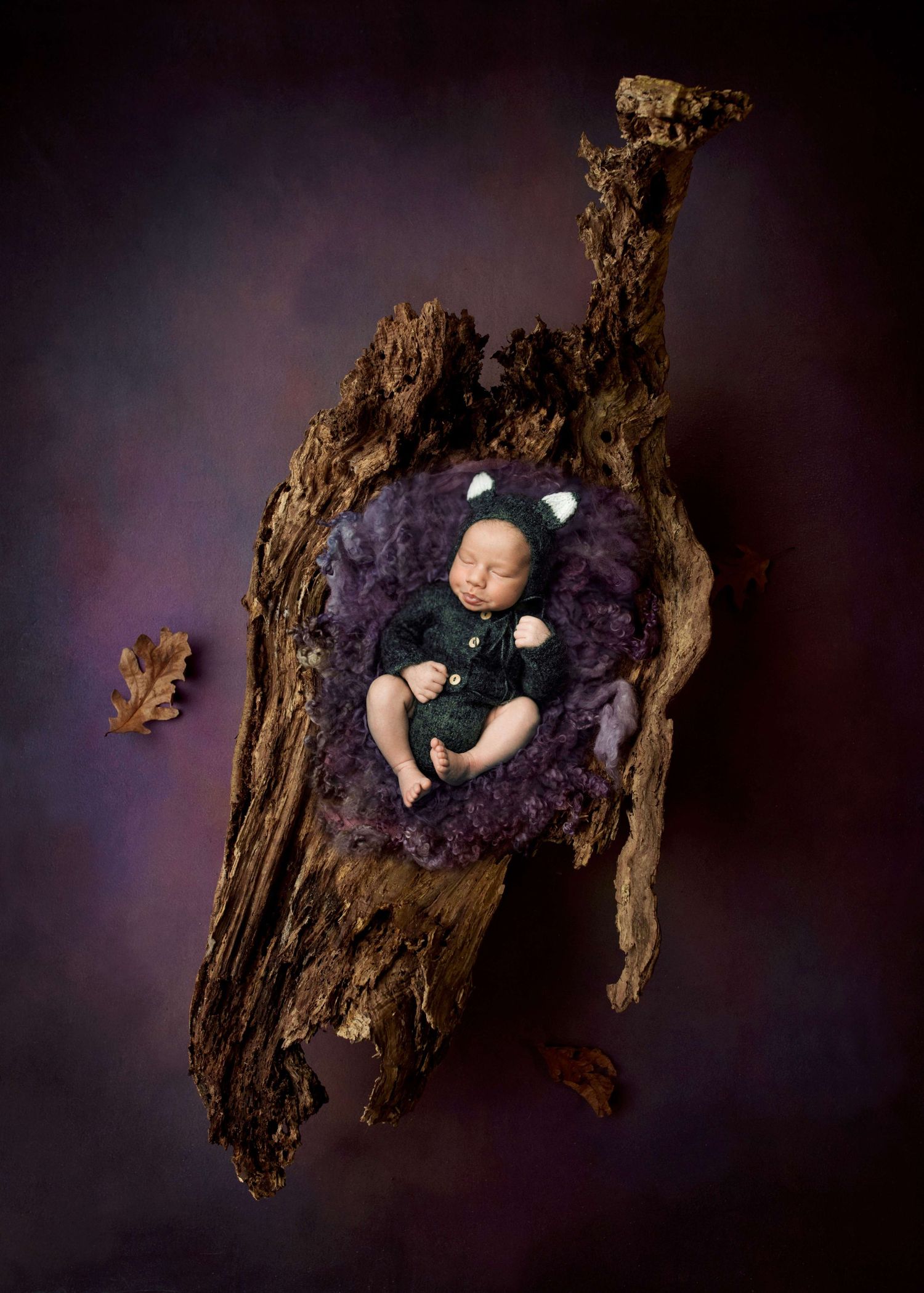 Newborn baby sleeping in cat costume on purple fur inside rustic wood hollow, artistic portrait photography.