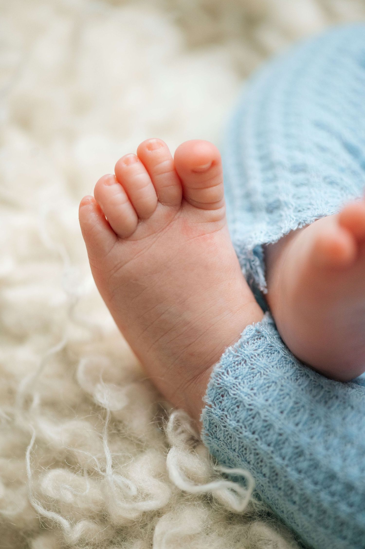 Close-up of tiny newborn baby feet wrapped in a soft blue knit blanket on a fluffy white background.