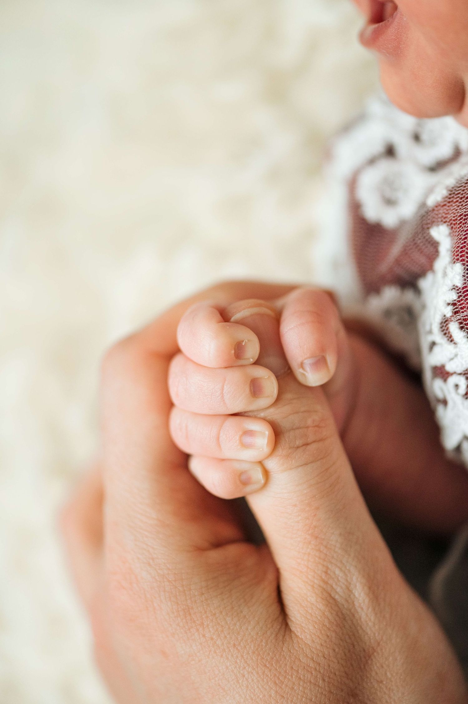 Newborn baby grasping adult finger, close-up of tiny hand and nails, soft white background.
